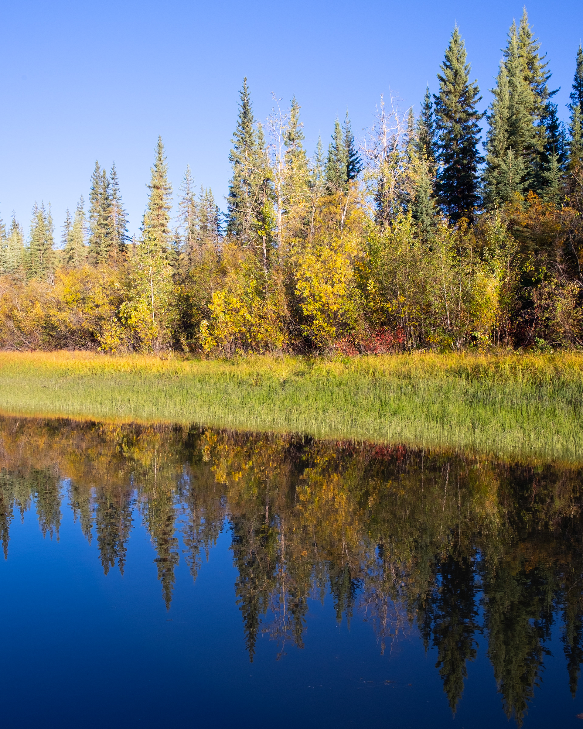 Watercolour Sloughs. On Tr’ondëk Hwëch’in Traditional Territory and the traditional territories of the White River First Nation.
