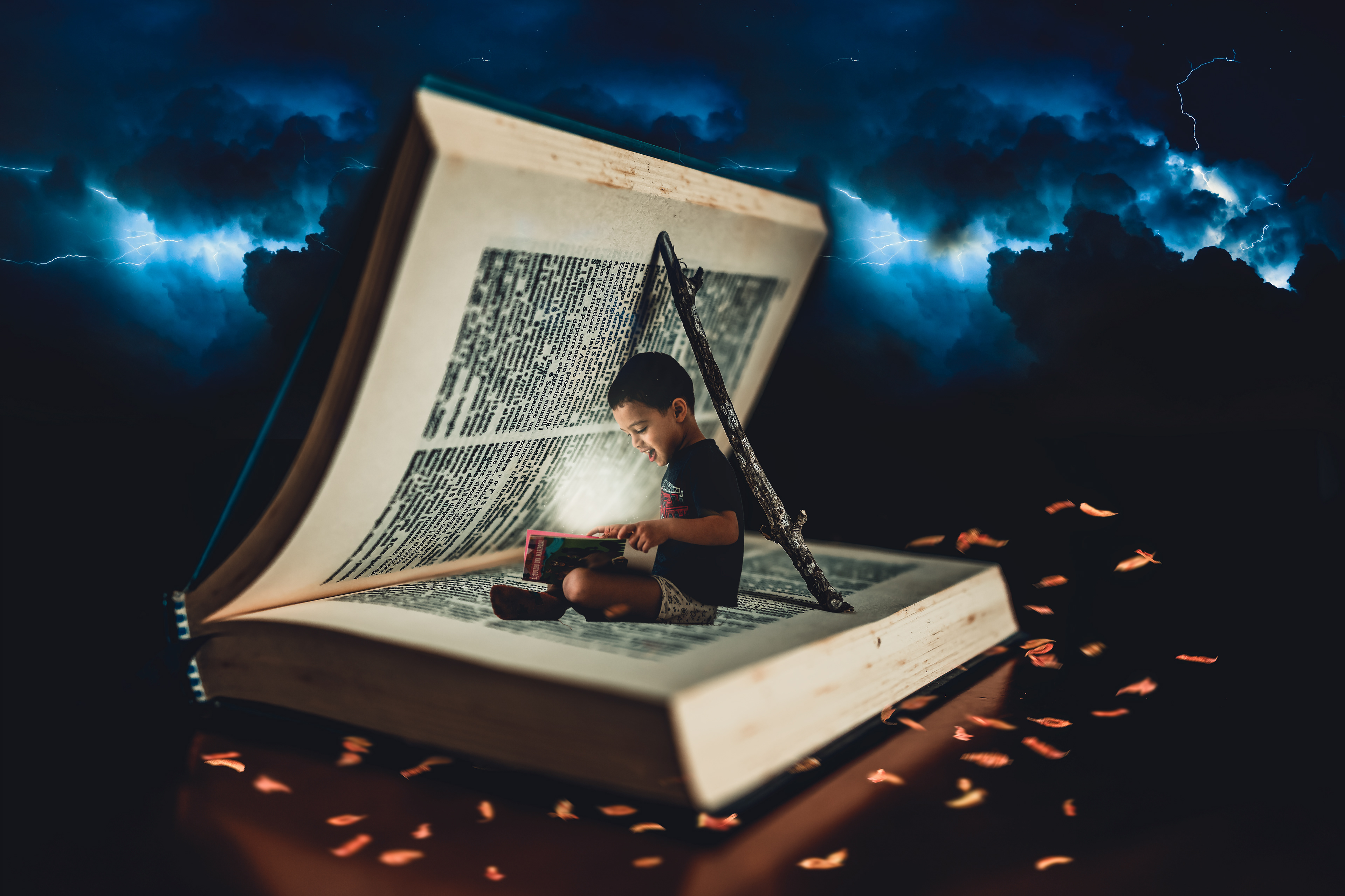 The book