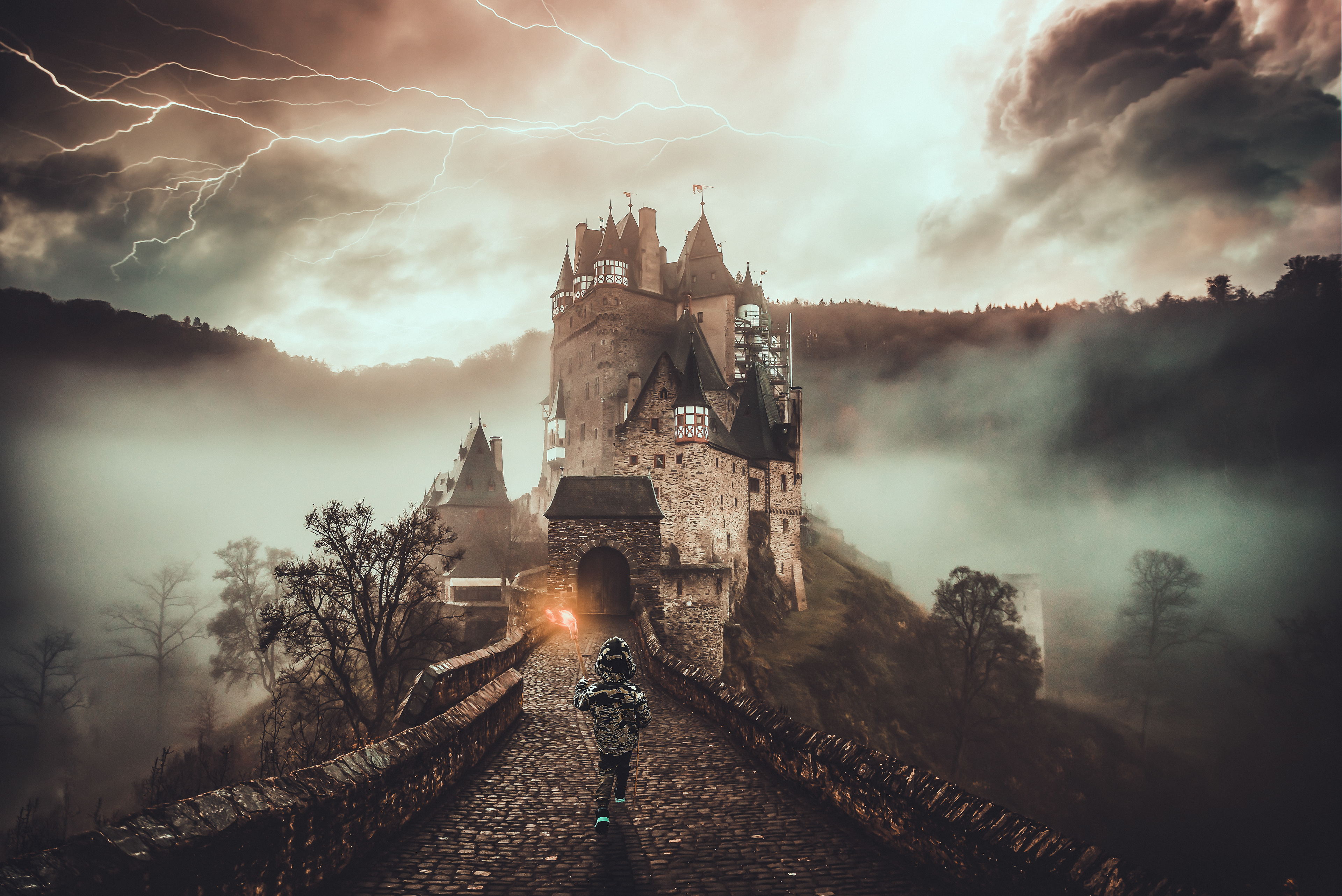 The castle