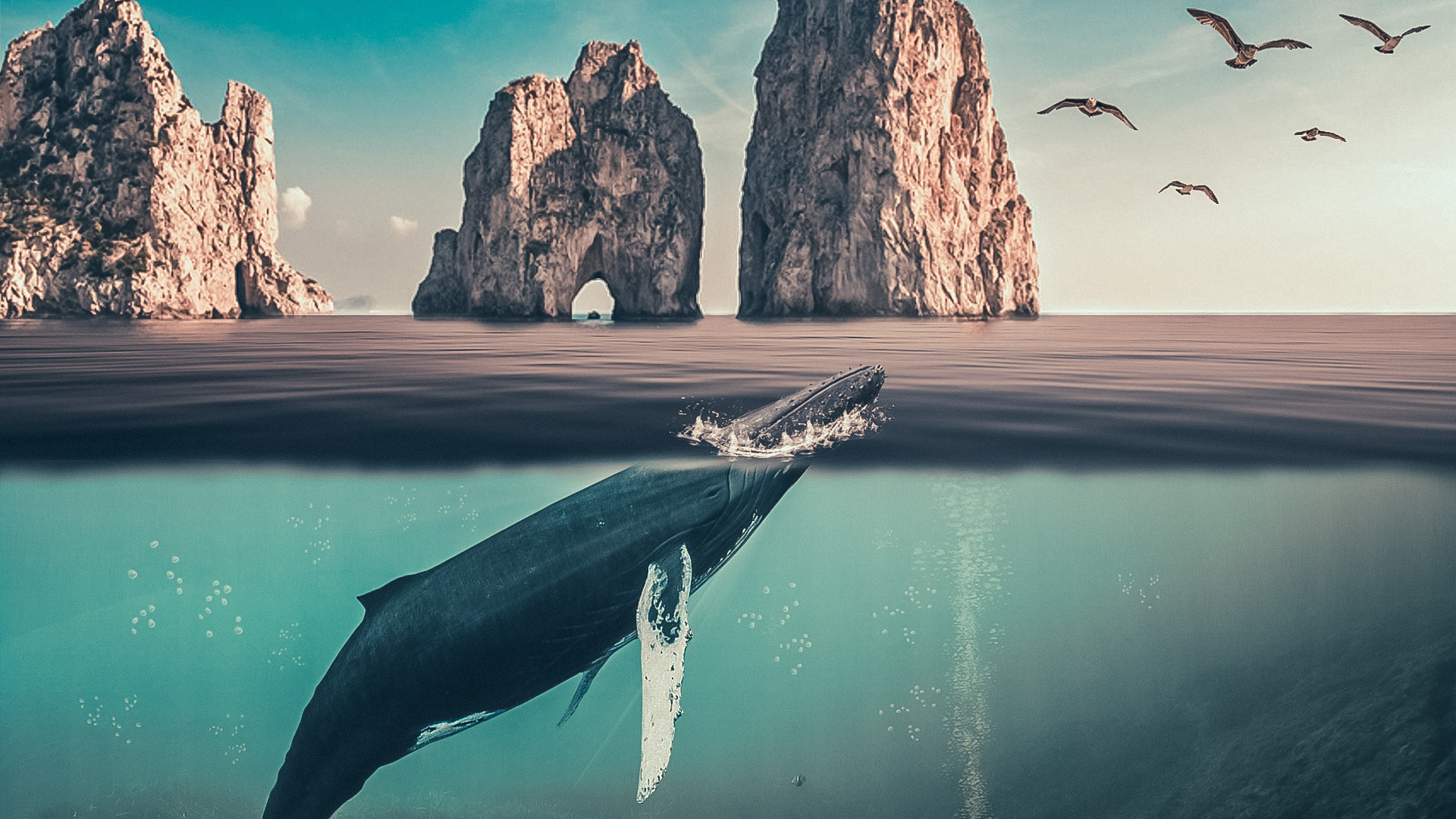 Capri Fantasy