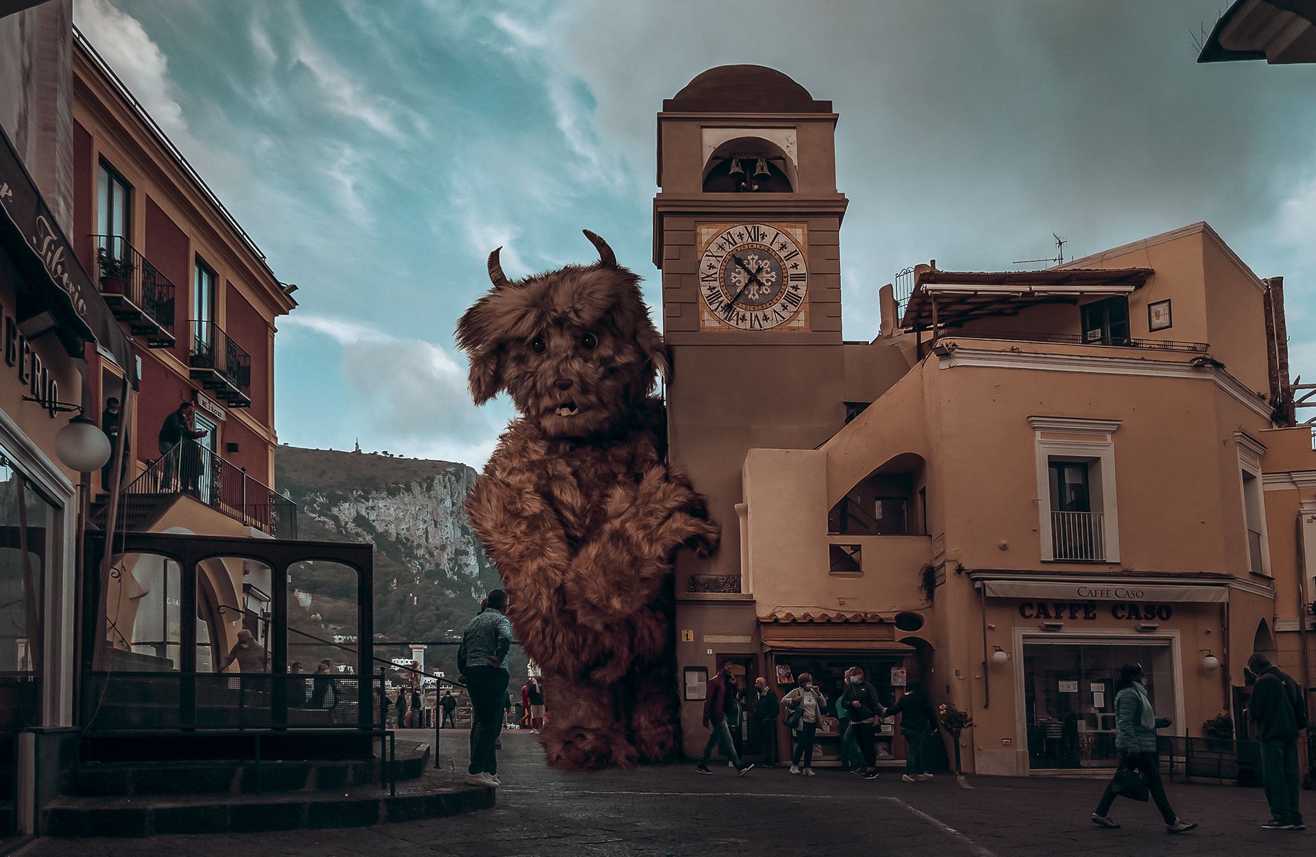 Baxter in Capri