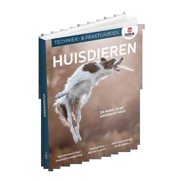 Huisdieren