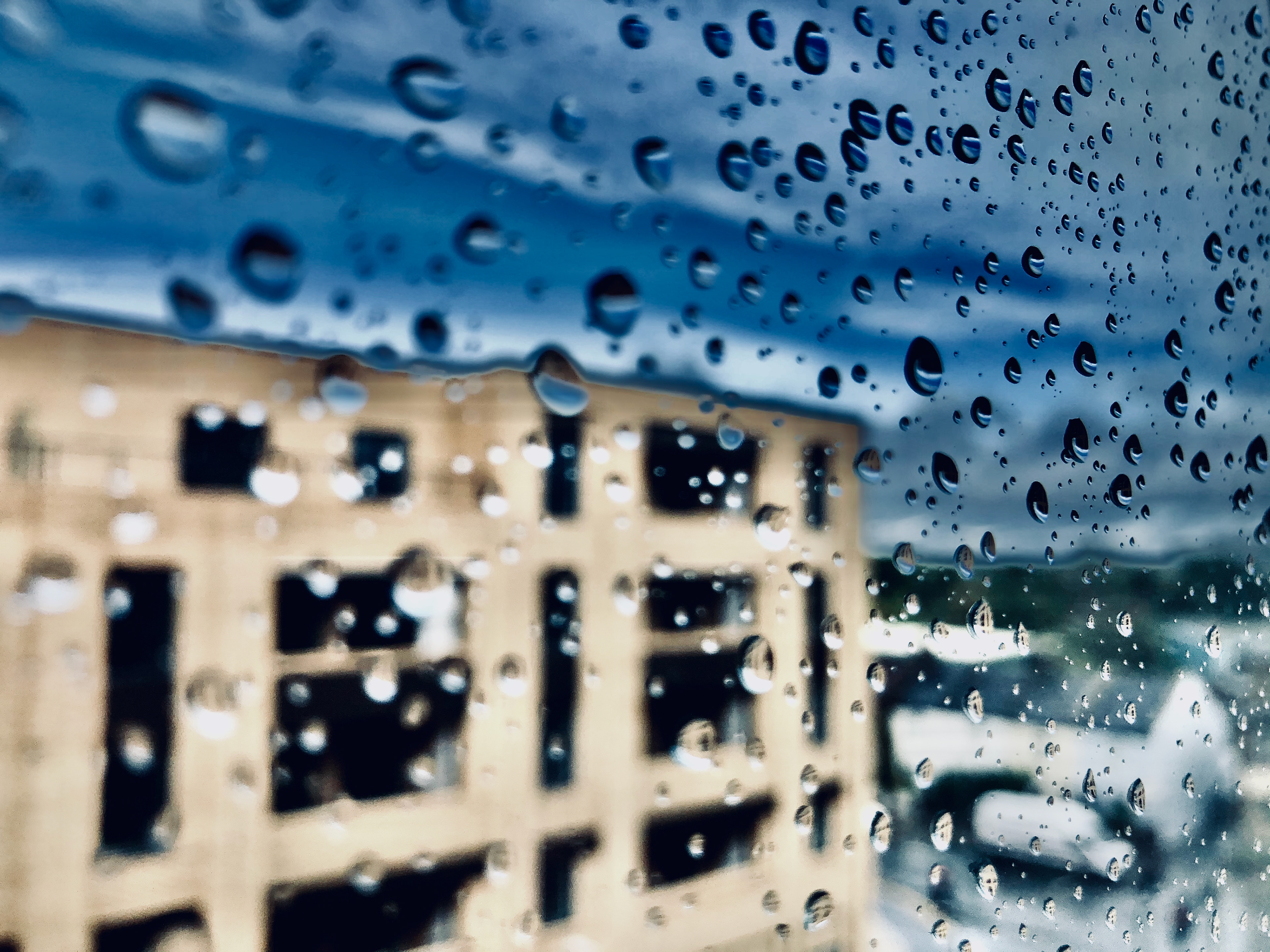 From the kitchen window