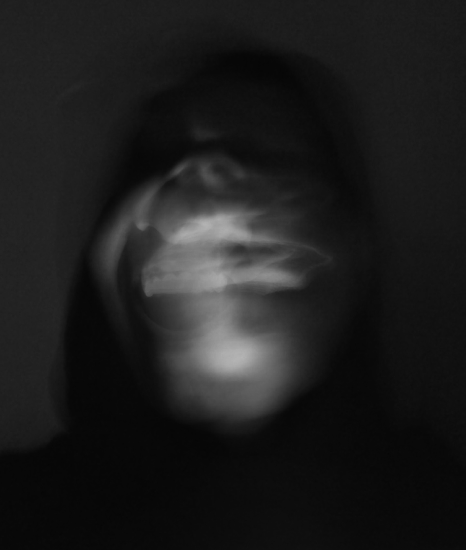 The laughing ghost