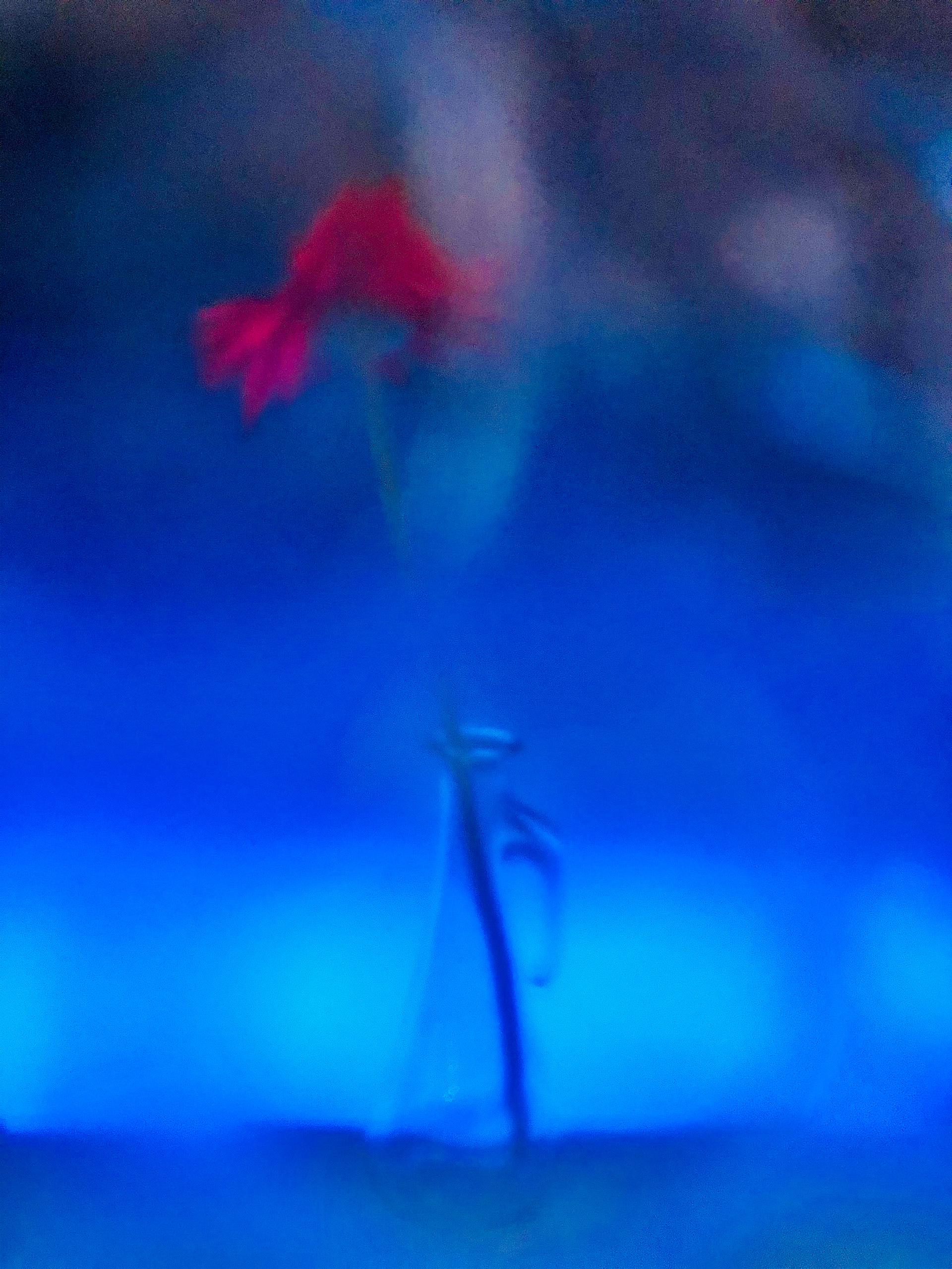 Painting photography