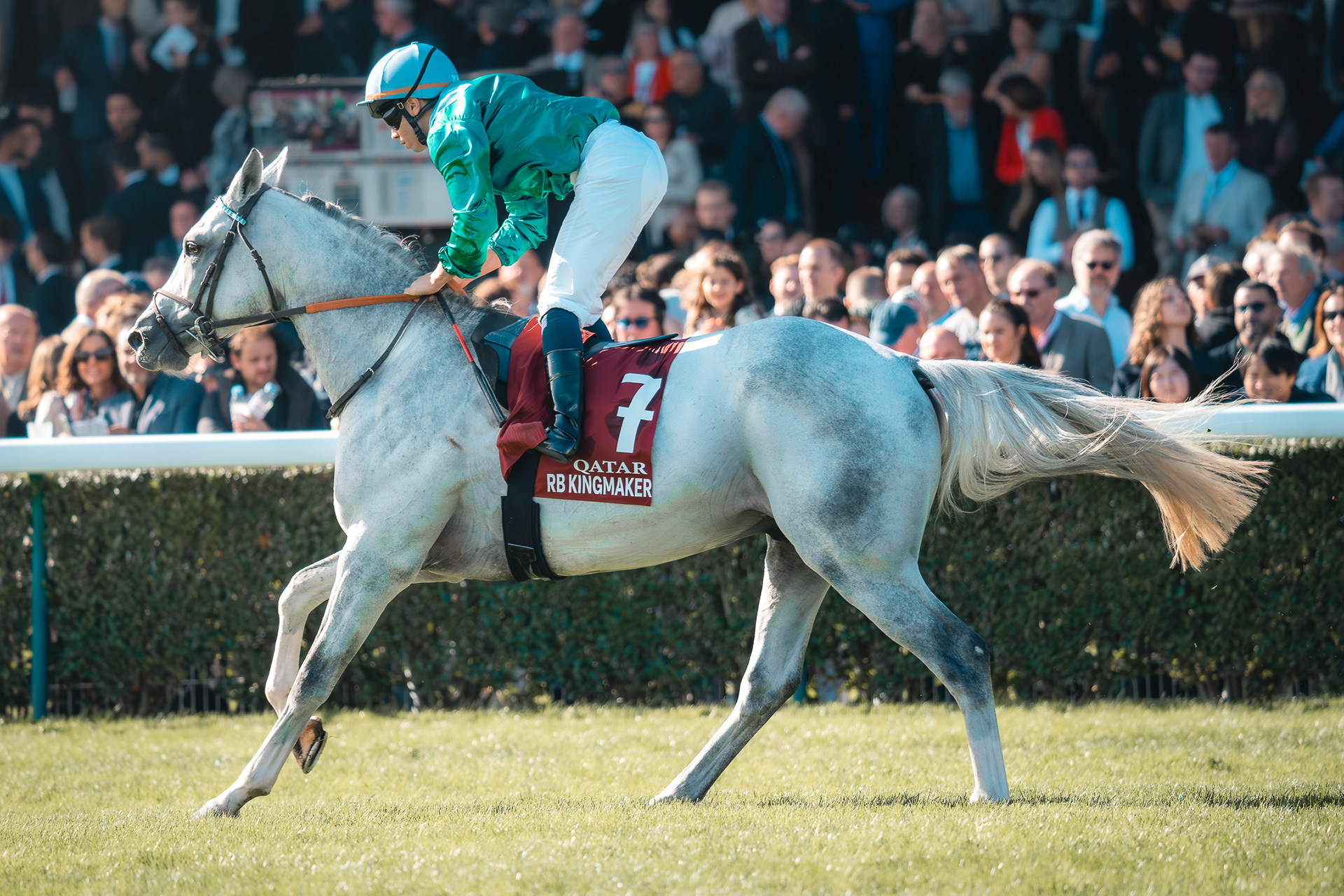 Action saisie par Sabri Kaced : un cheval gris nommé RB Kingmaker au plein galop sur la piste, monté par un jockey en casaque verte et bleue.