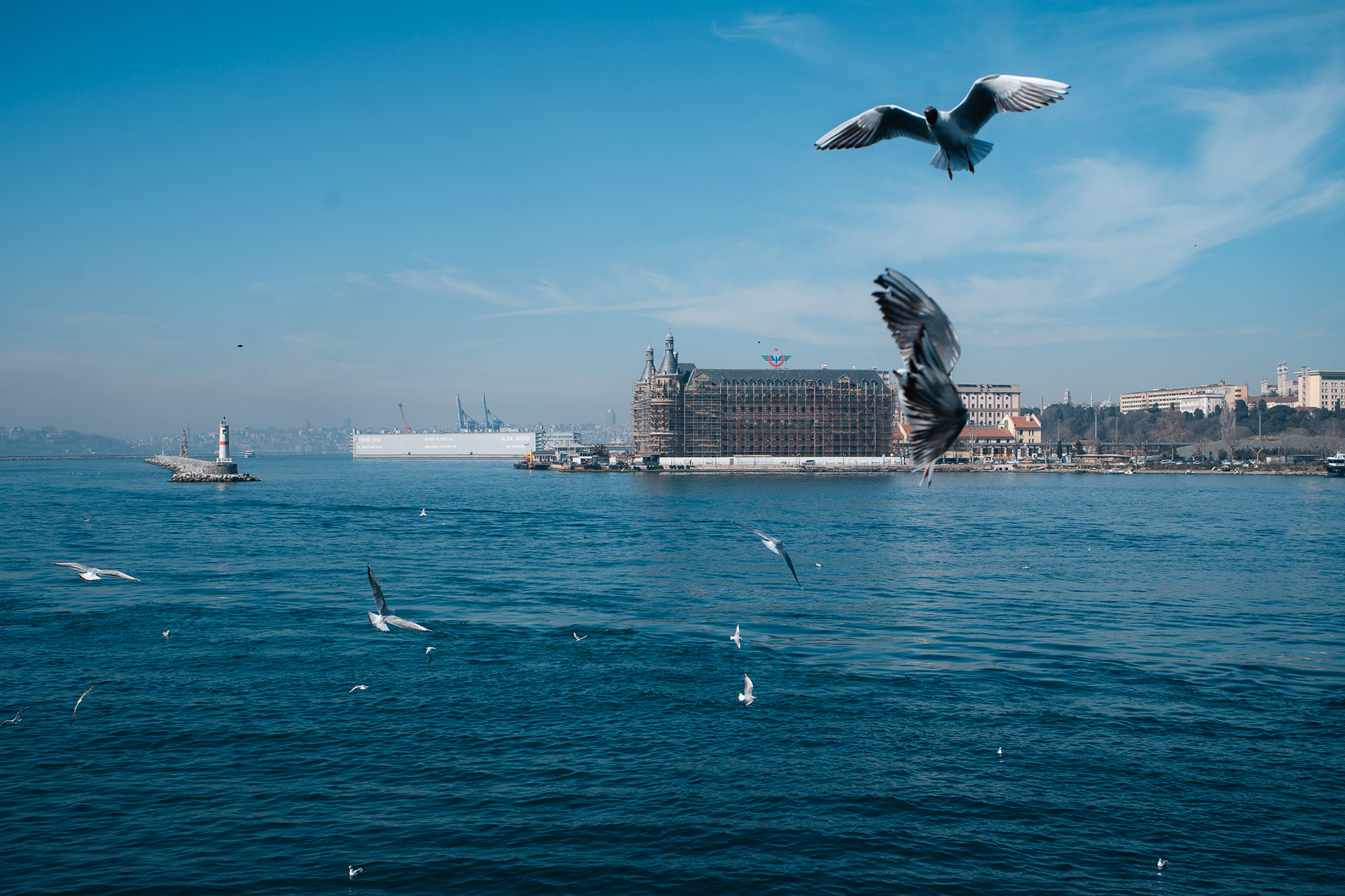 Envol de mouettes devant la silhouette de la gare d'Haydarpaşa à Istanbul, vue par le photographe Sabri Kaced.