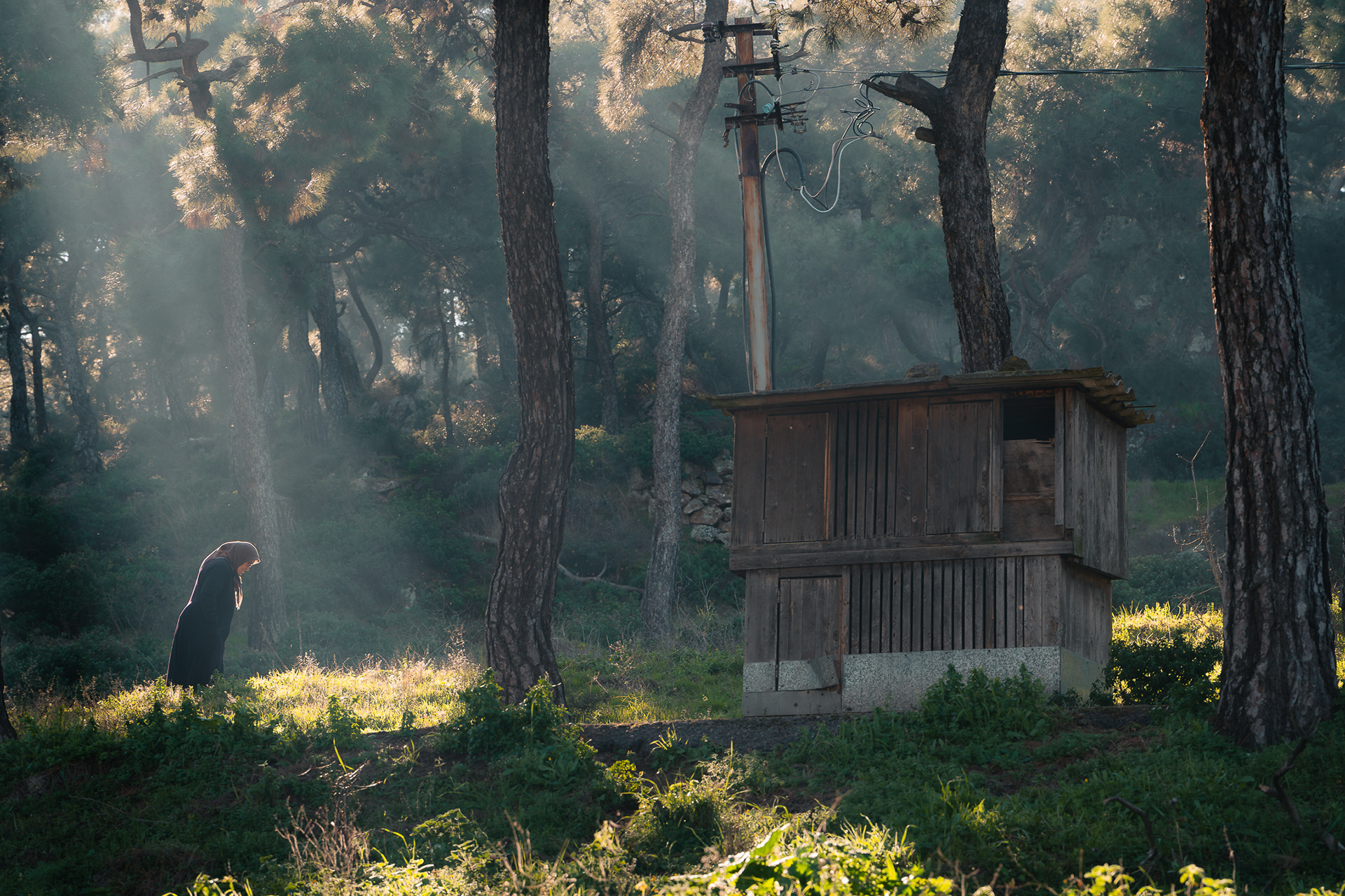 Silhouette d'une femme en prière ou en recueillement dans une forêt lumineuse à côté d'un abri, signée Sabri Kaced.
