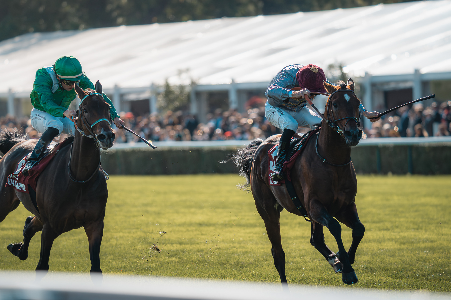 Sabri Kaced capture un duel serré entre deux chevaux au galop, les jockeys utilisant leurs cravaches pour la dernière ligne droite.