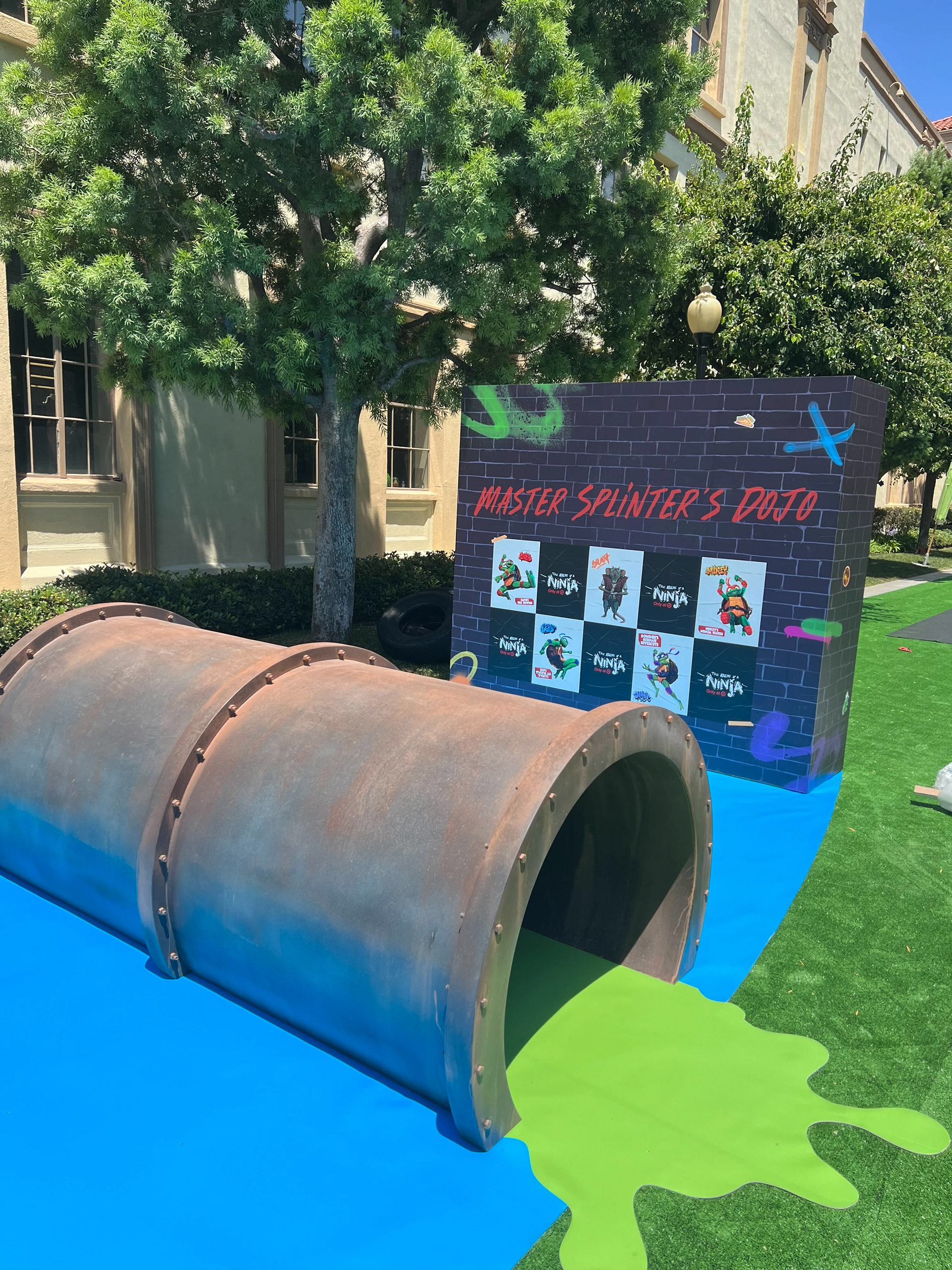 Splinter's Dojo Activity
