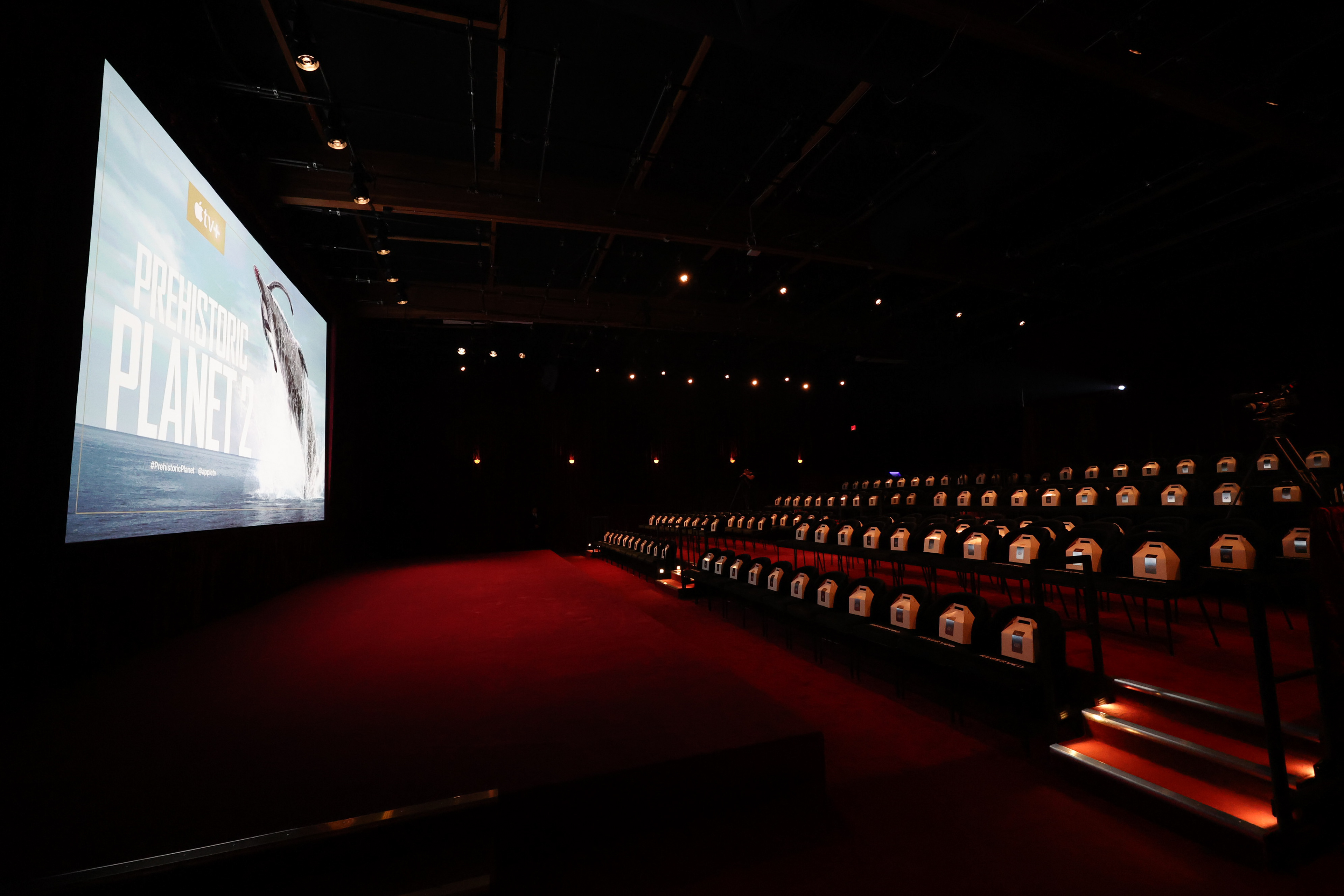 Prehistoric Planet Screening
