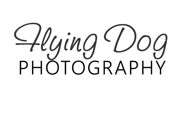Flying Dog Photography