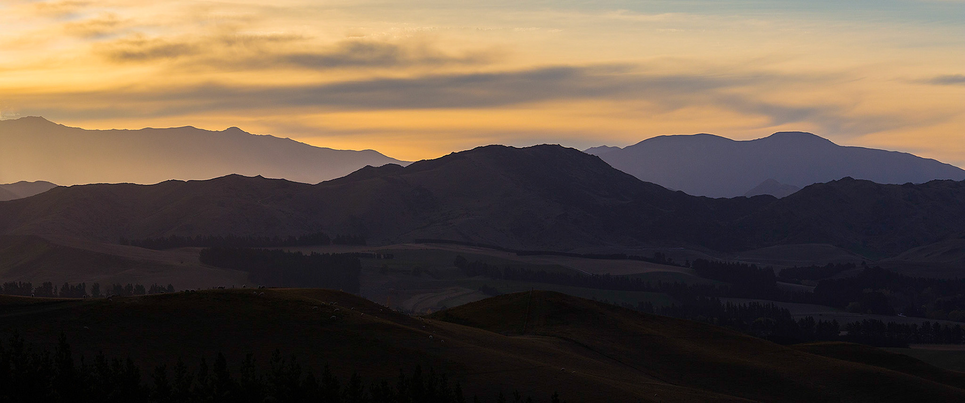 Pyramid Valley Mid Canterbury.