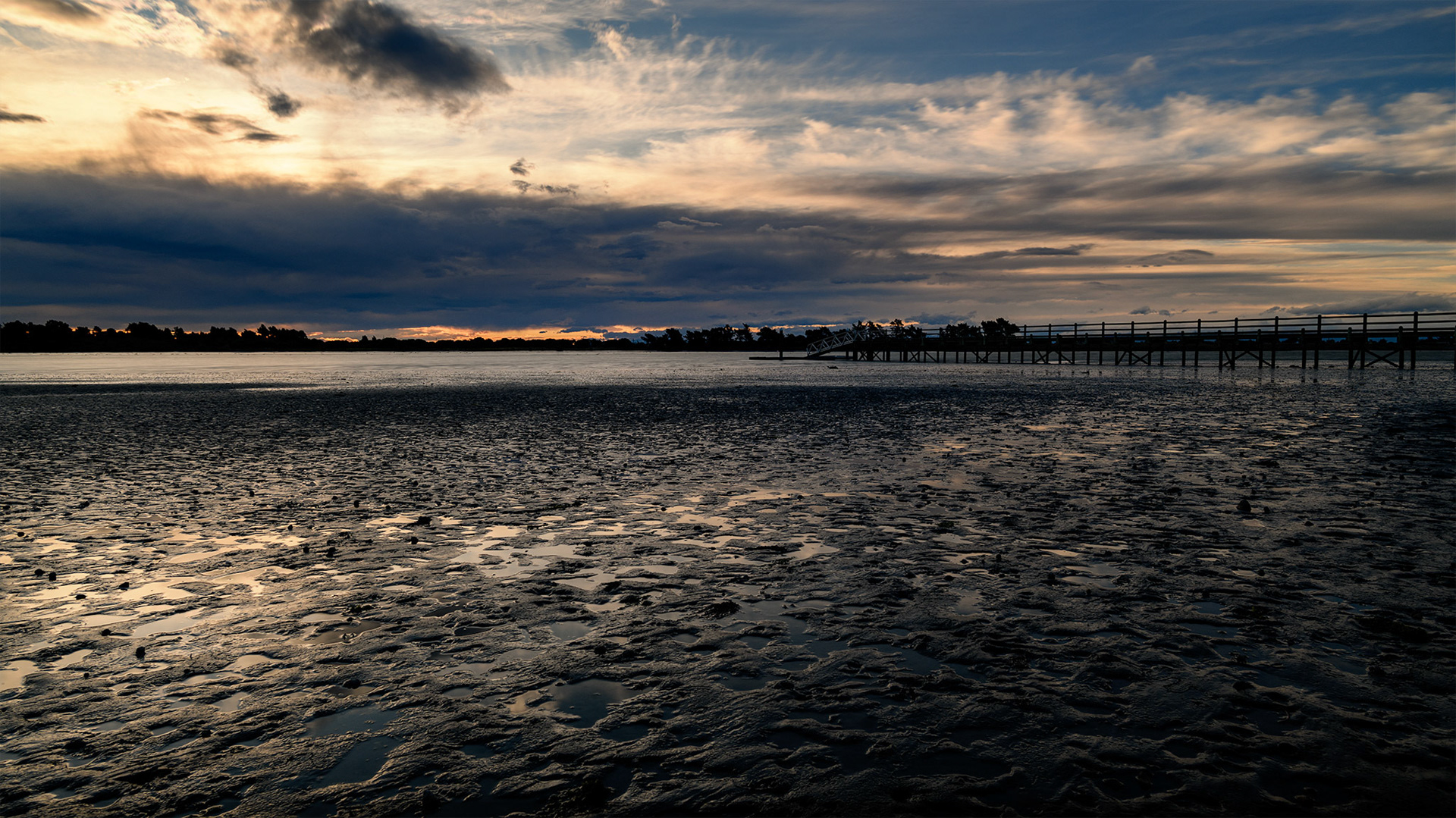 Low Tide at South Shore