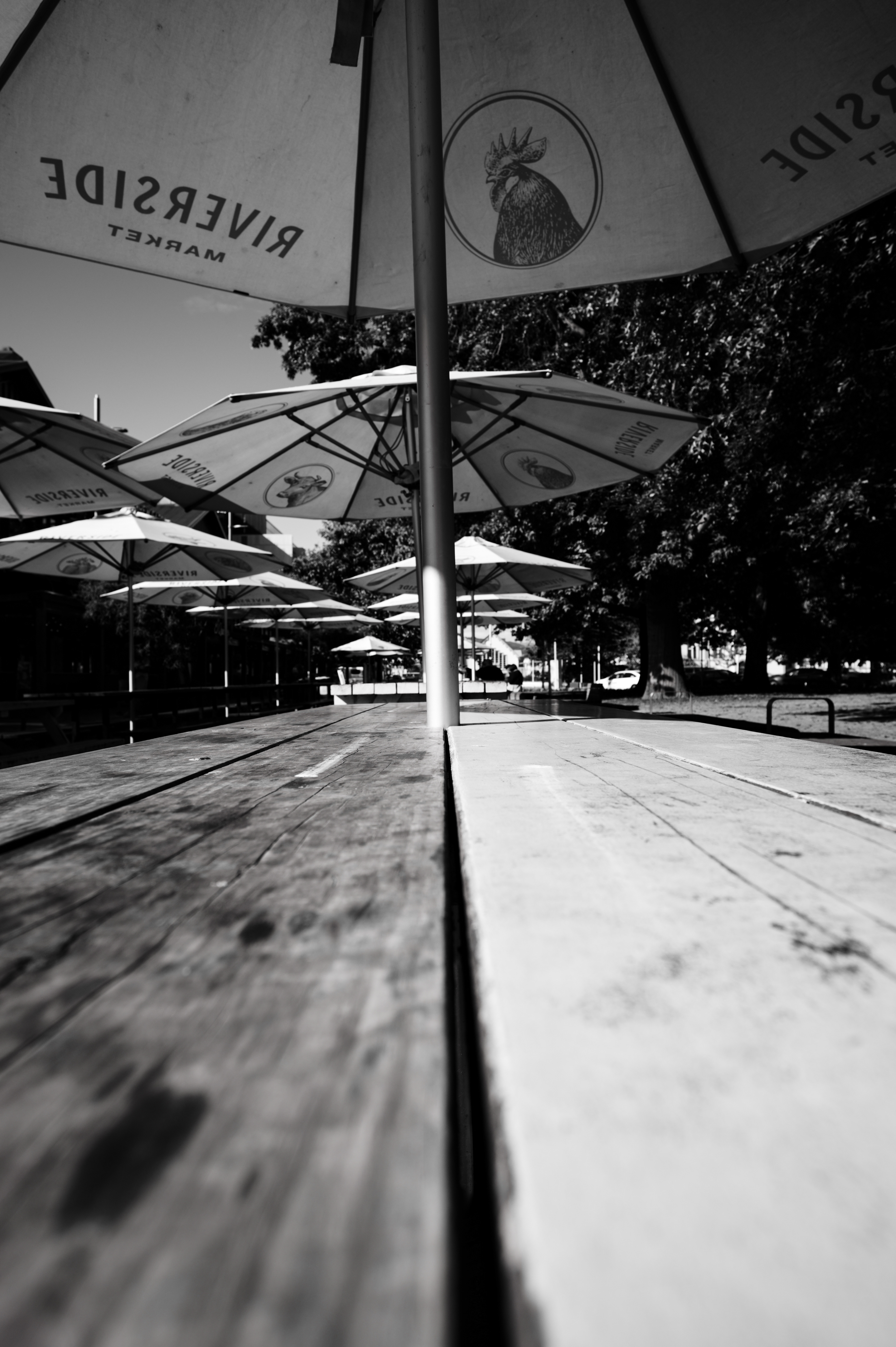 City Walkabout