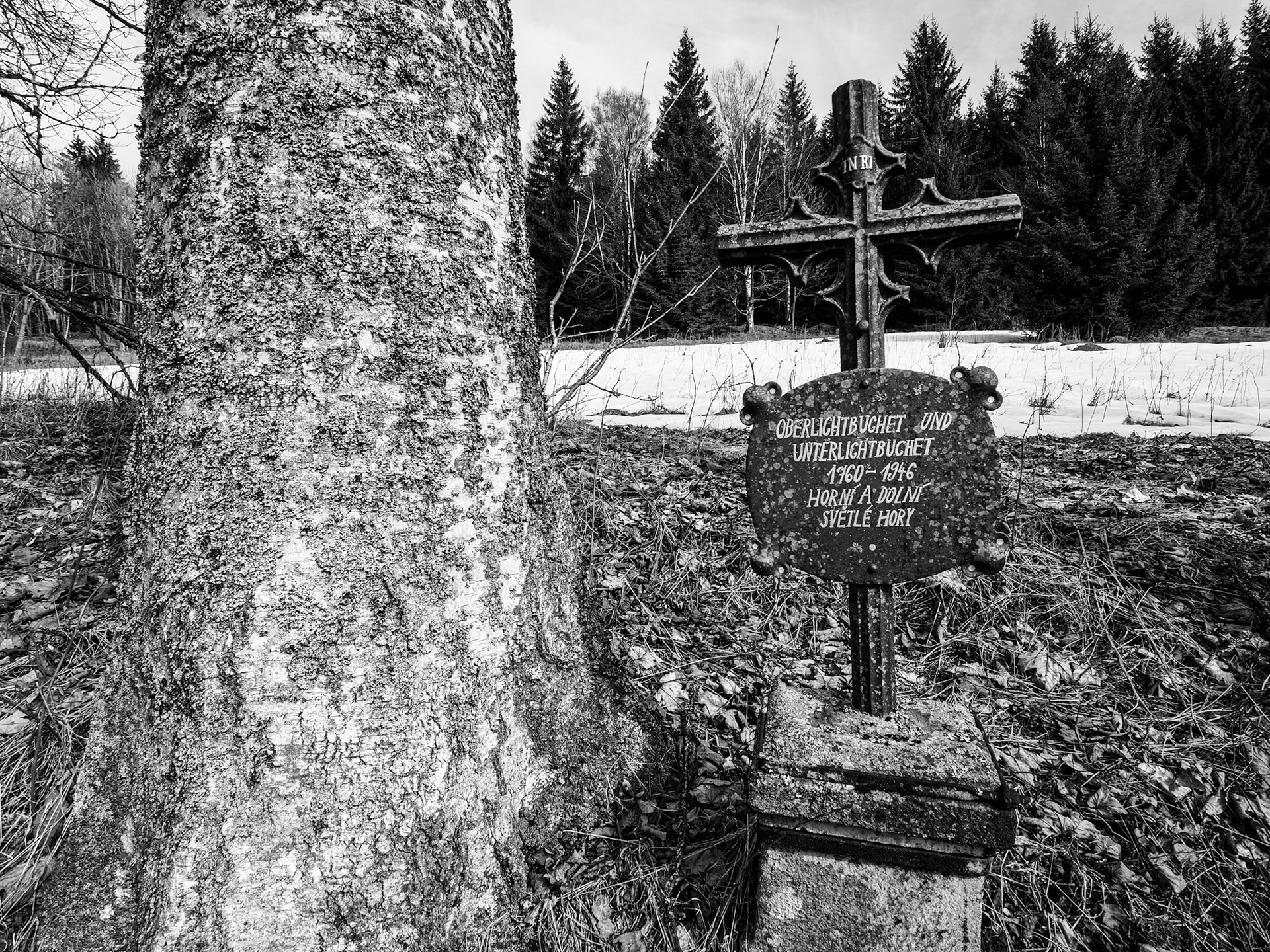 Šumava kolem Strážného