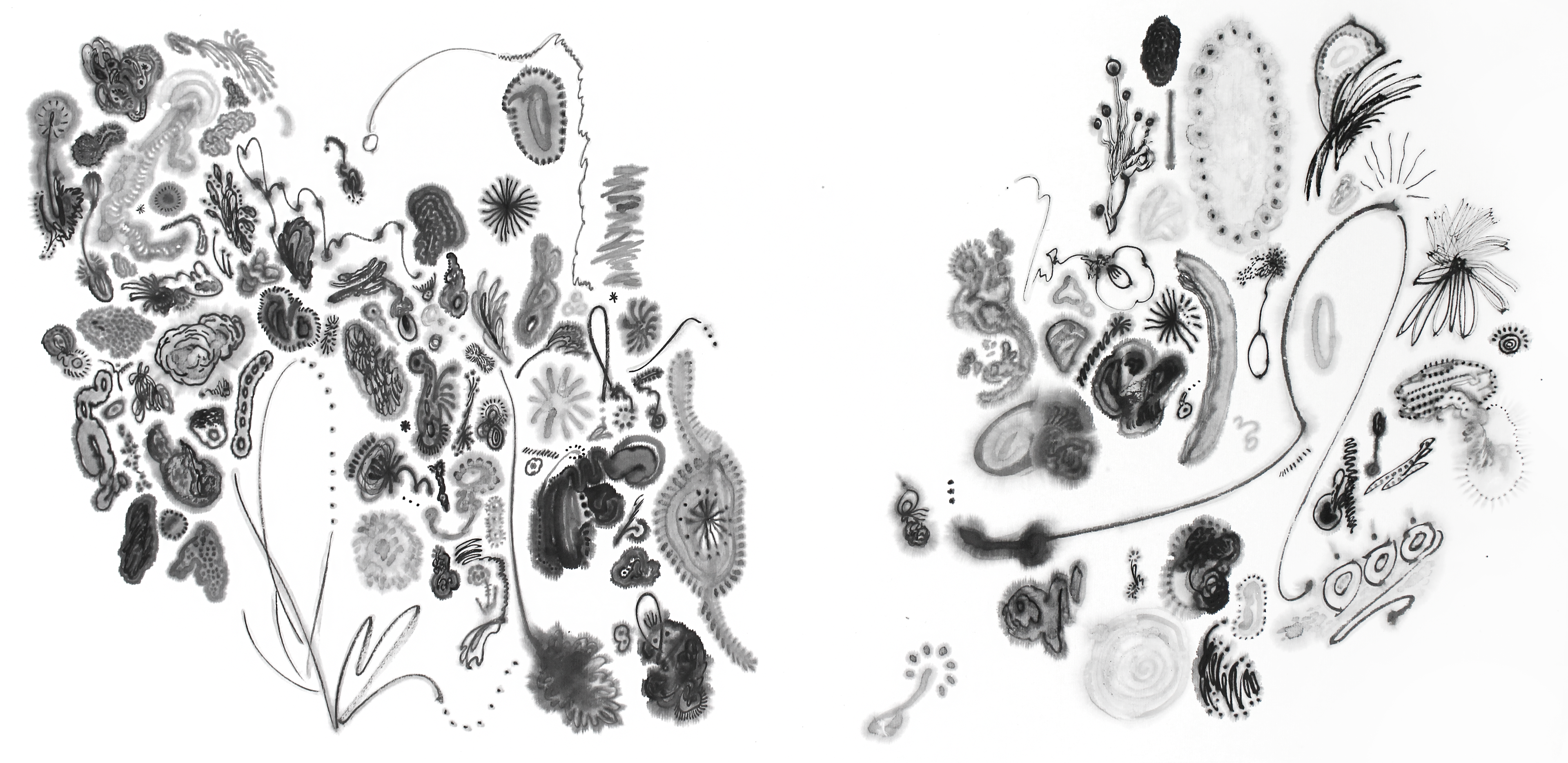 밀고 밀리기, 34x70cm, 한지에 먹, 2024 / , 34x70cm, Ink on paper, 2024
