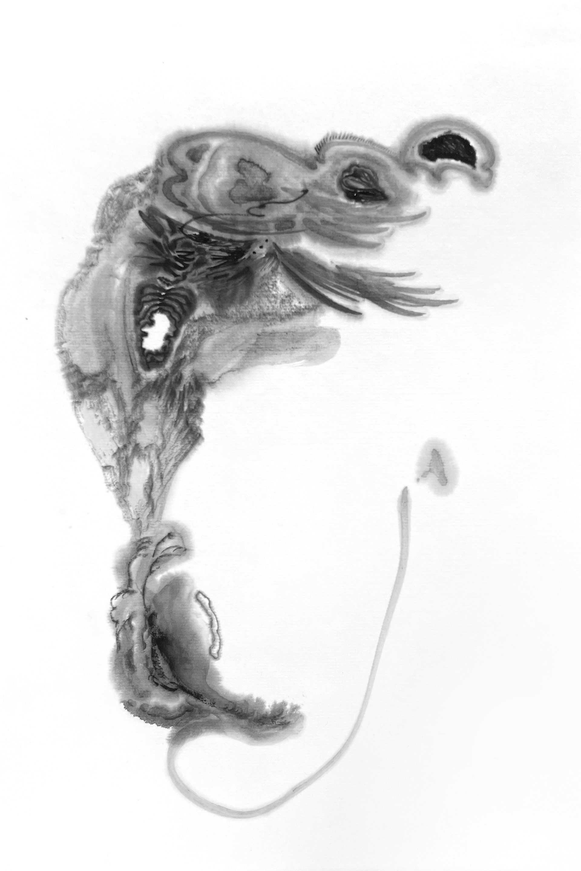 물꼬리움, 35*23cm, 한지에 먹, 2024