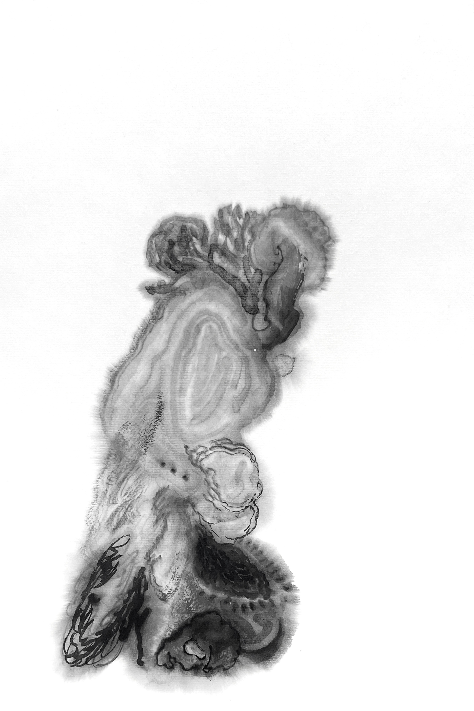오뚝, 35*23cm, 한지에 먹, 2024