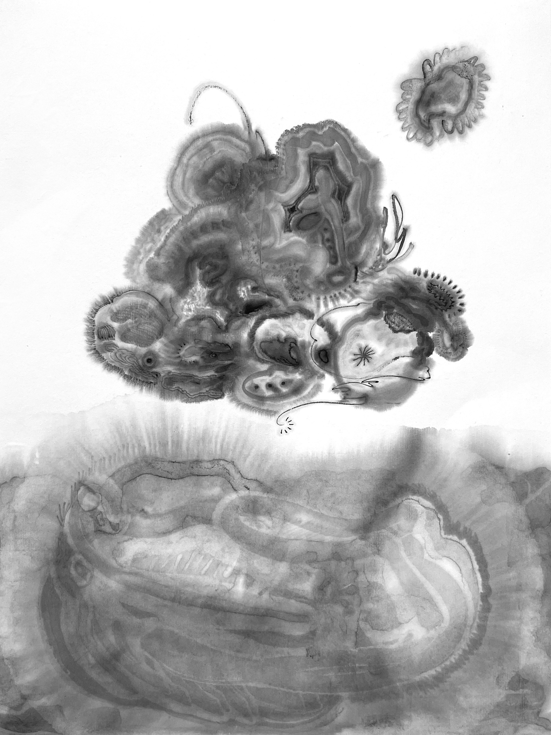 47x34cm, 한지에 먹, 2024 / , 47x34cm, Ink on paper, 2024