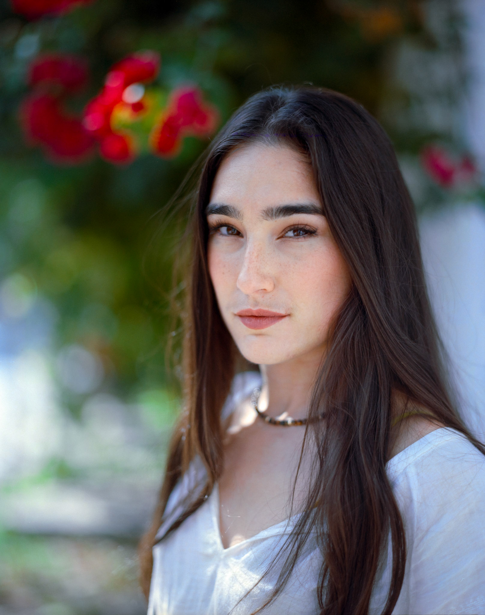 Fujifilm Fujicolor NPS 160