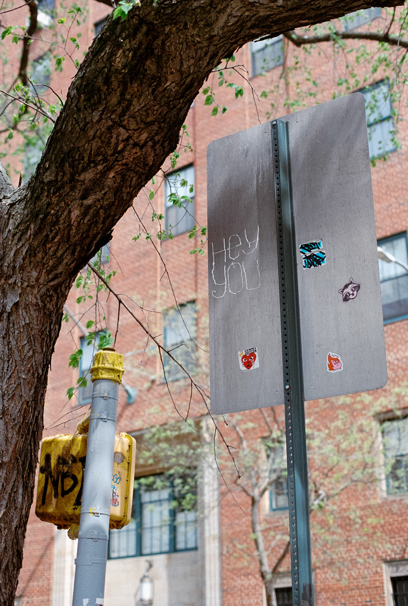 Nikon FM2 | Nikkor  Nikkor 50mm f/1.2 Ai-S | Fujifilm 400