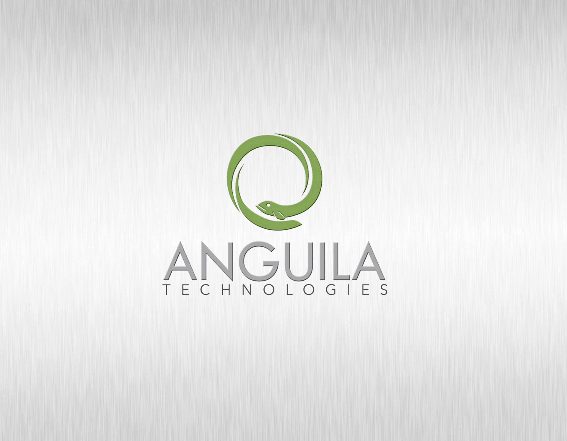 Anguila Technologies