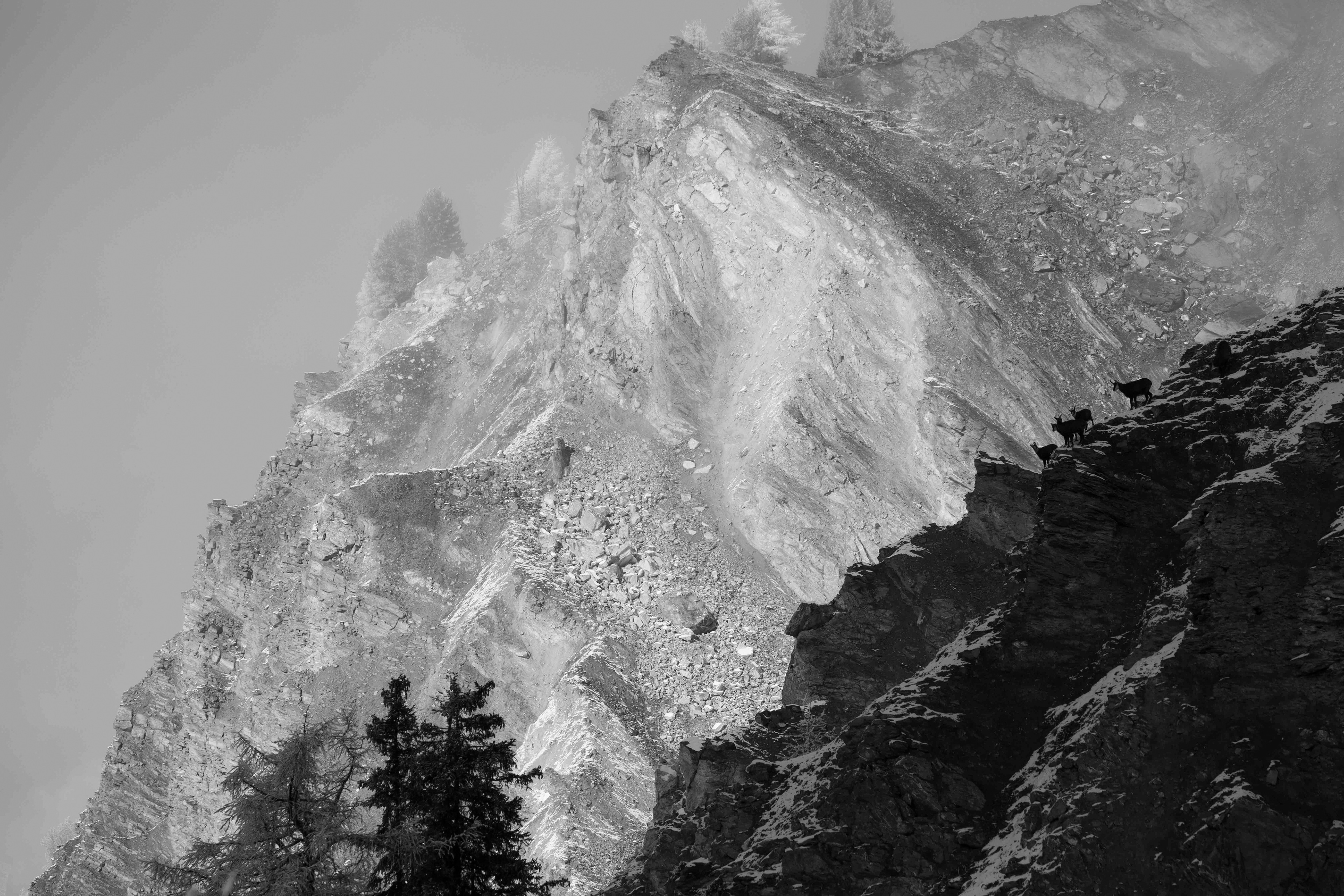 Chamois, Verbier, Val de Bagnes, Suisse