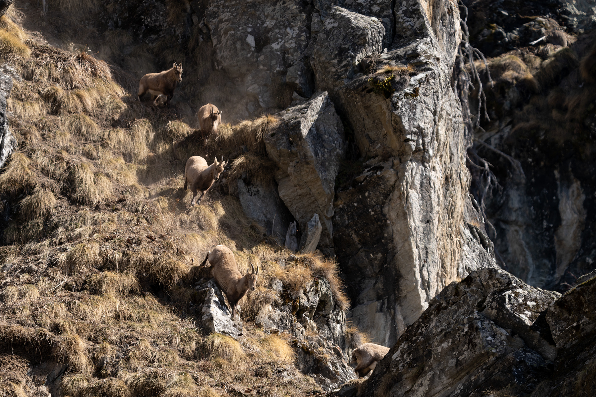 Etagnes, Val de Bagnes, Valais, Suisse