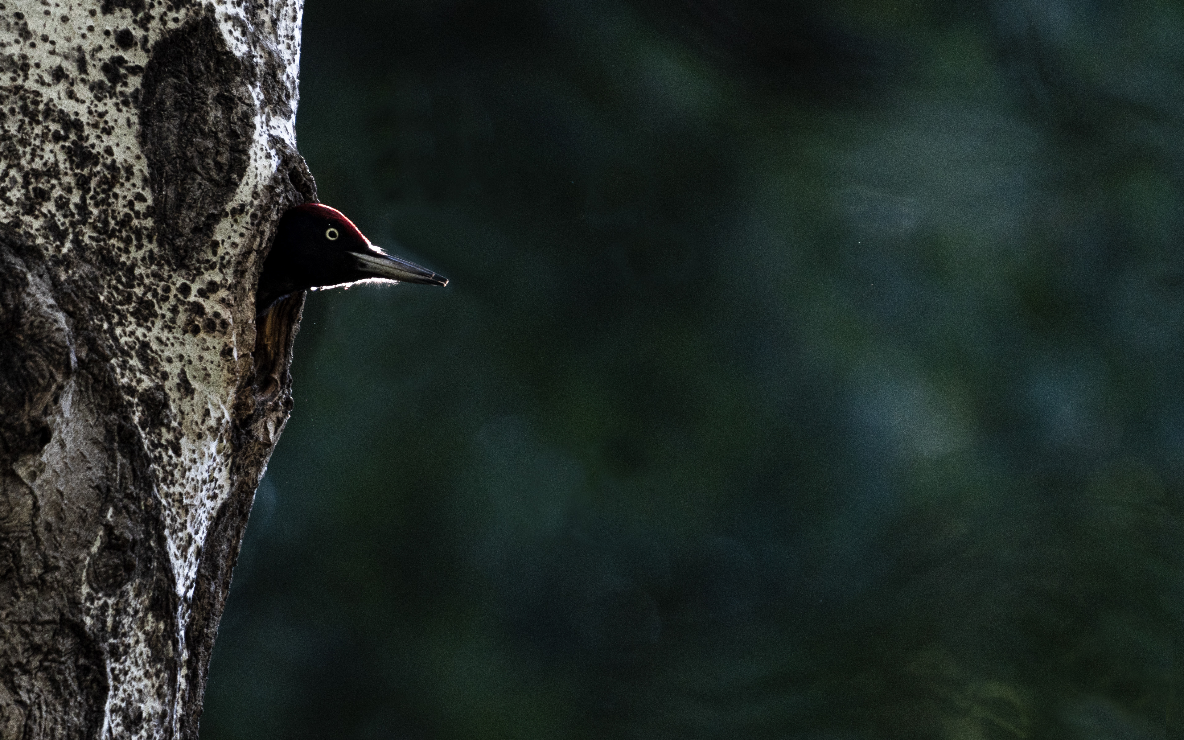 Pics noir, Val de bagnes, Verbier