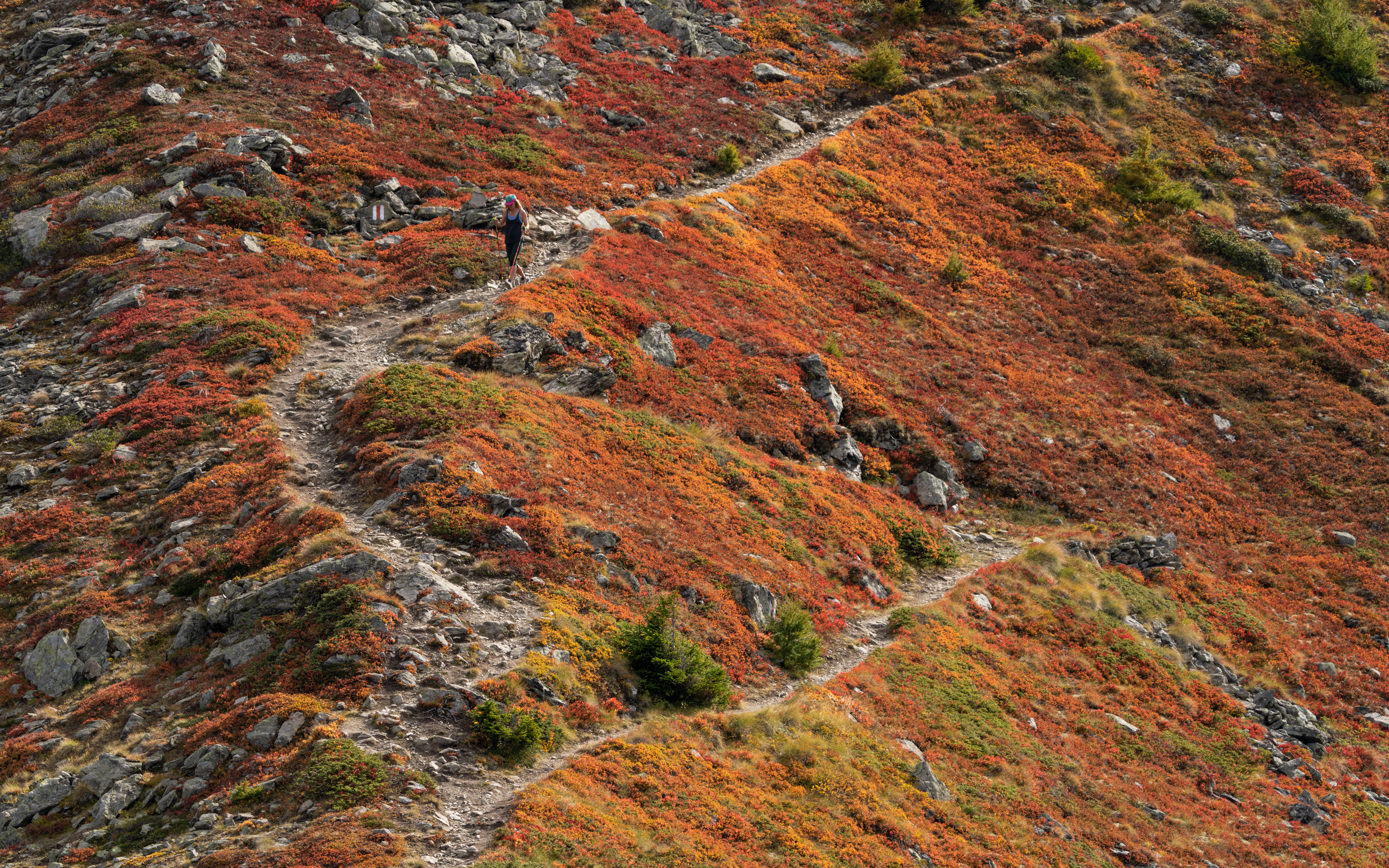 Trail running, Bruson, Verbier, Emma Bodkin