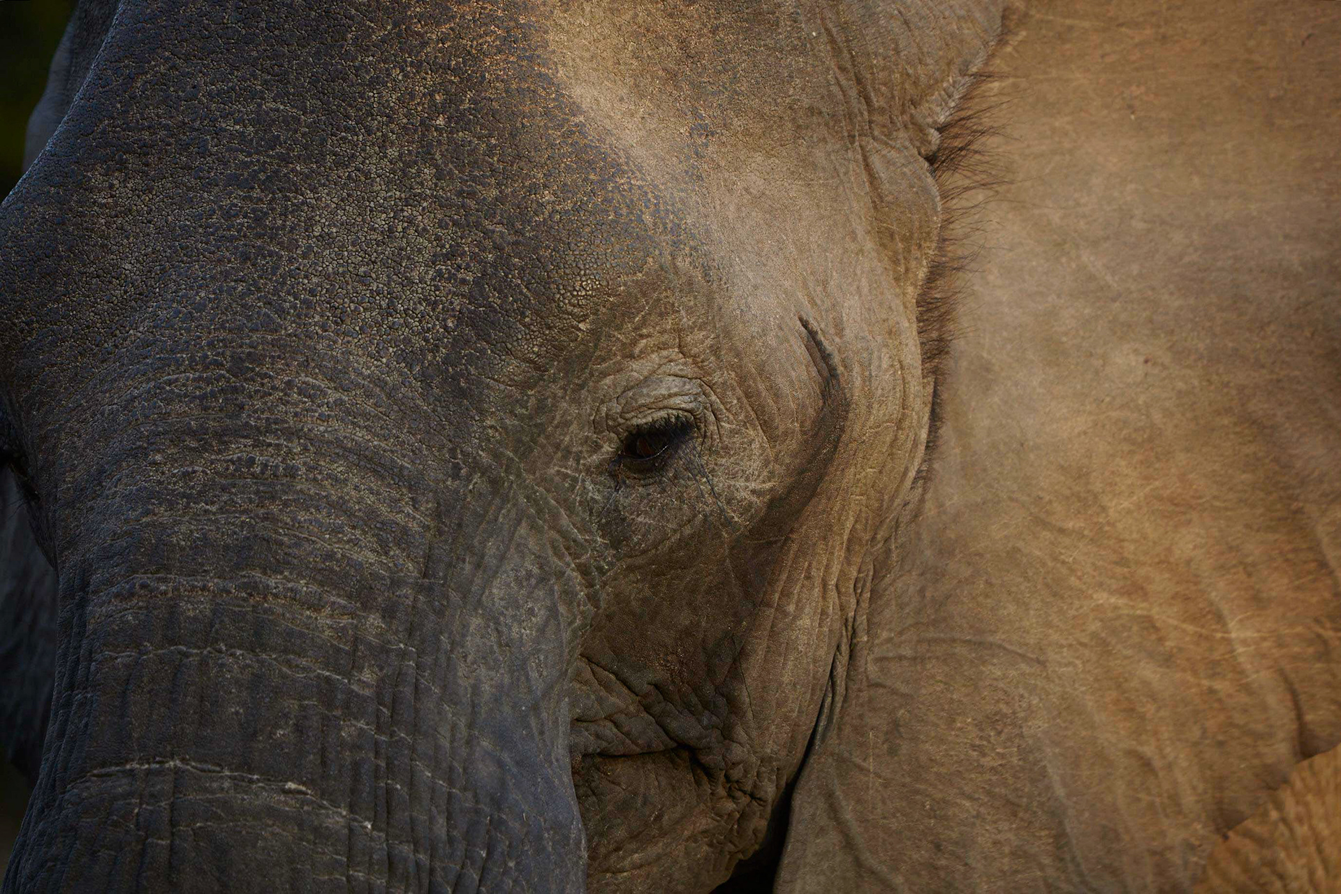 Tim Evan Cook travel and hotel photograph