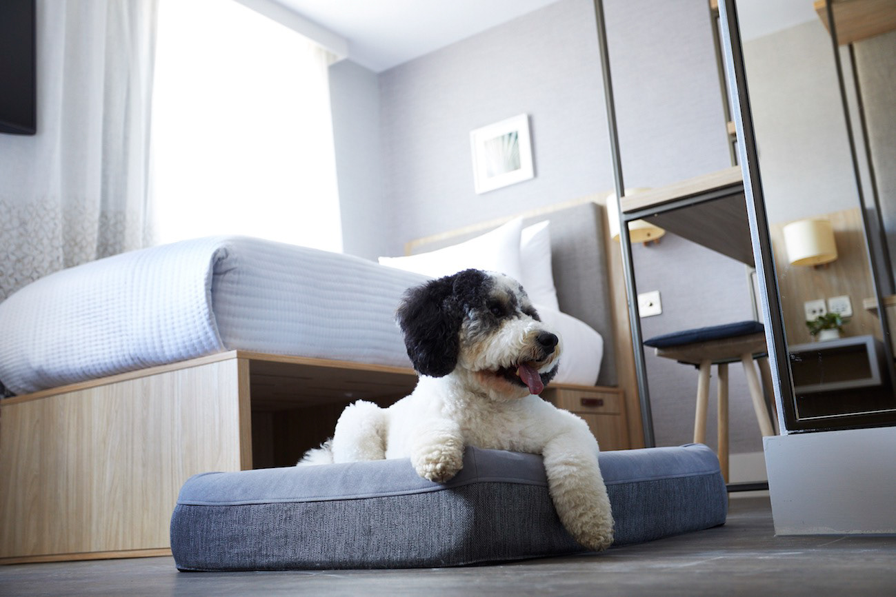 Tim Evan Cook hotel and lifestyle photograph