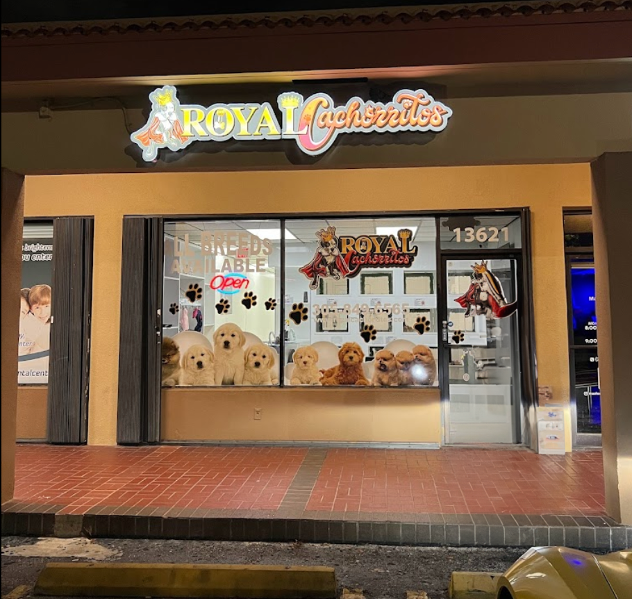 Royal Cachorritos , Miami Florida - Logo / Branding for Storefront
