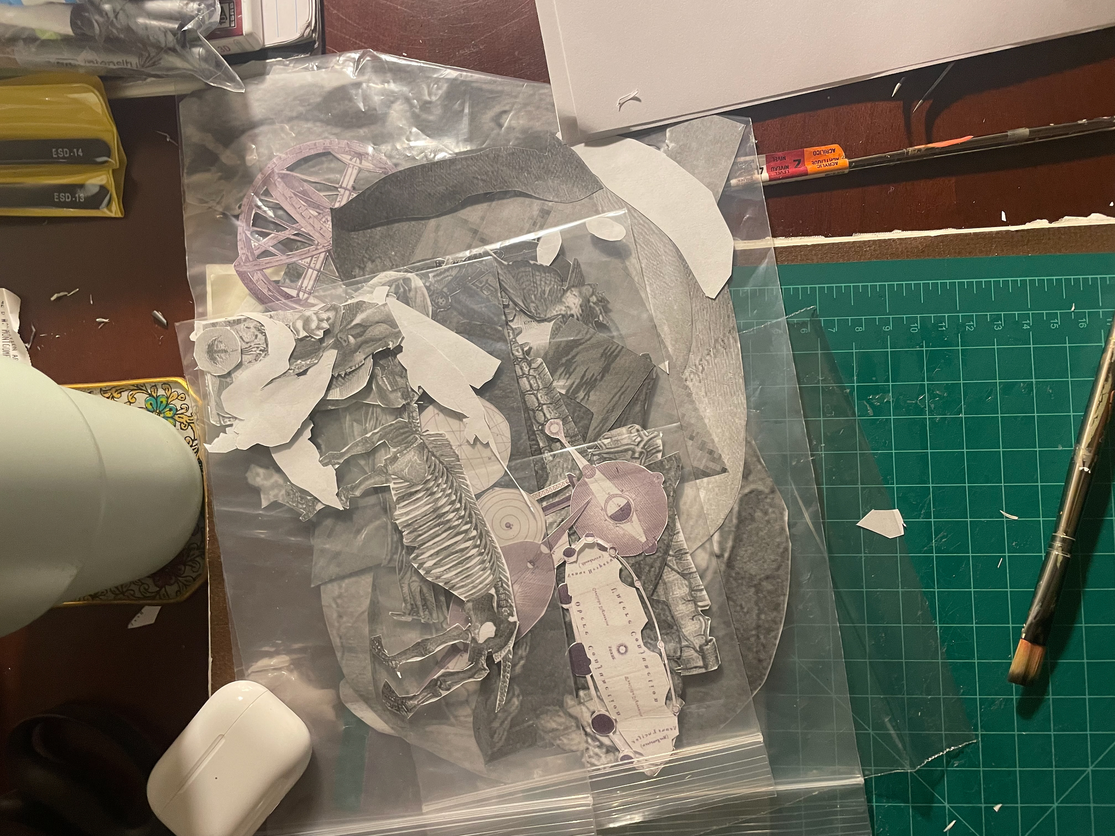 Seperate pieces cut and placed in baggies