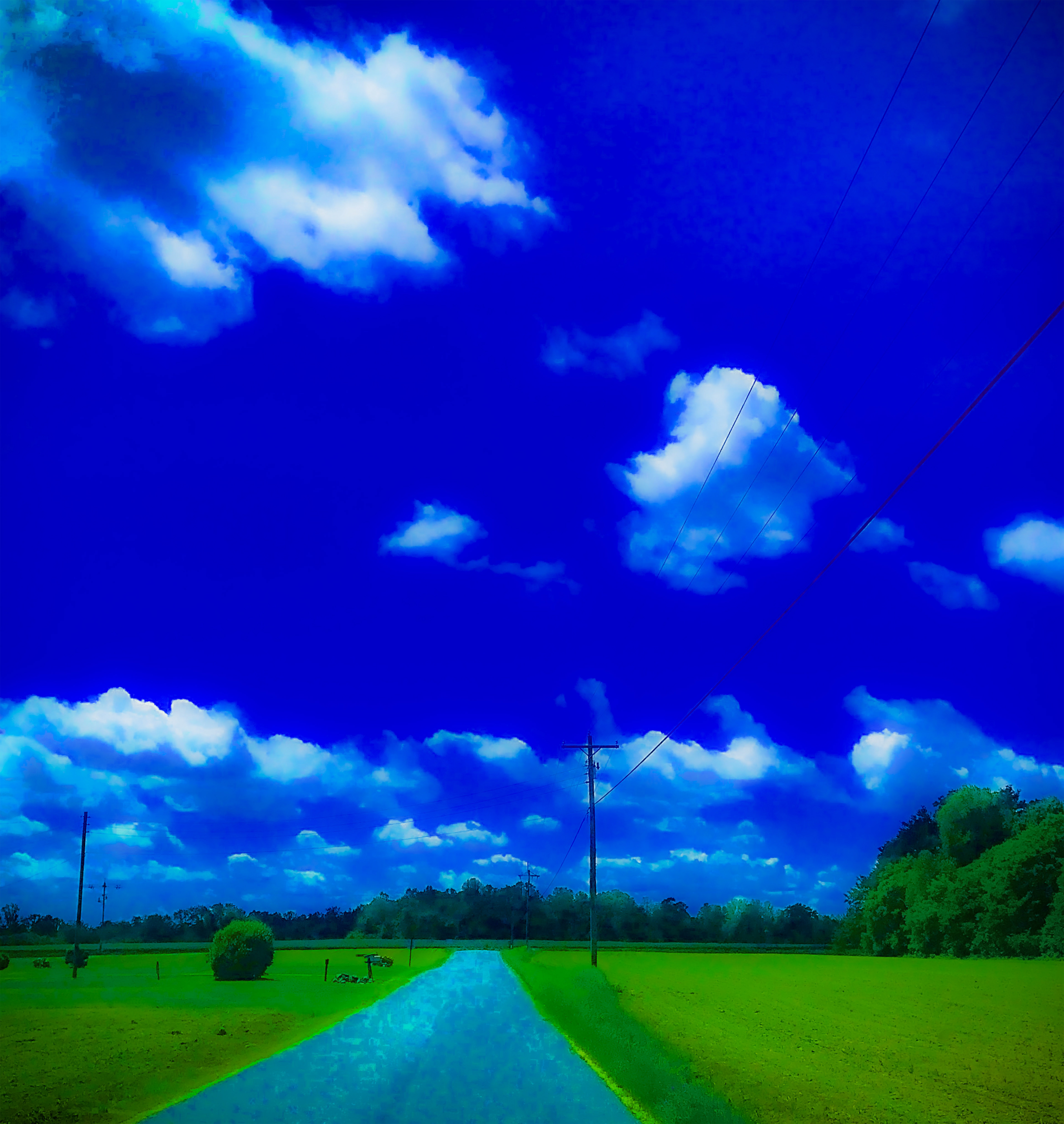 "Field and Sky"