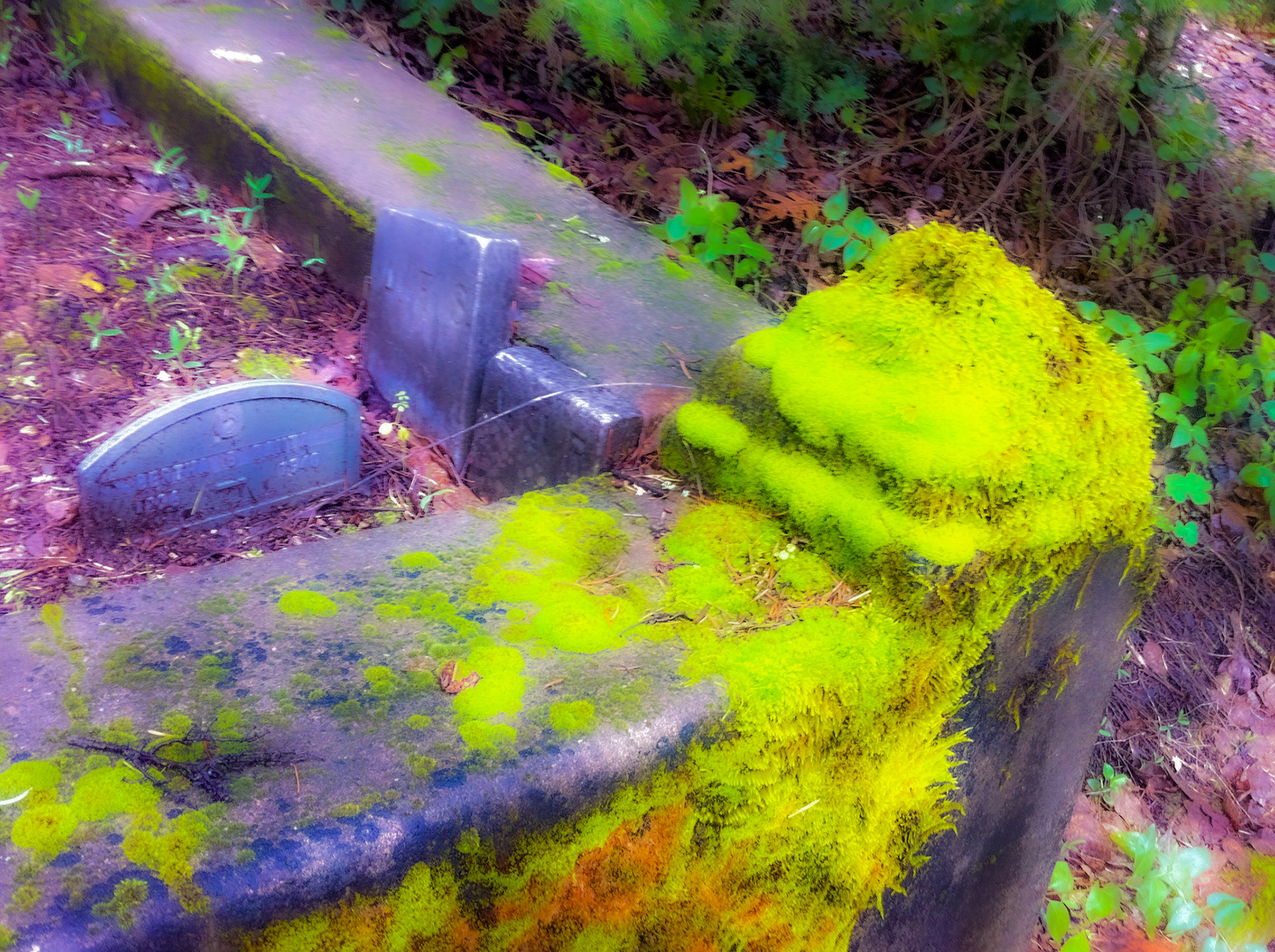 "Cowboy Graveyard"