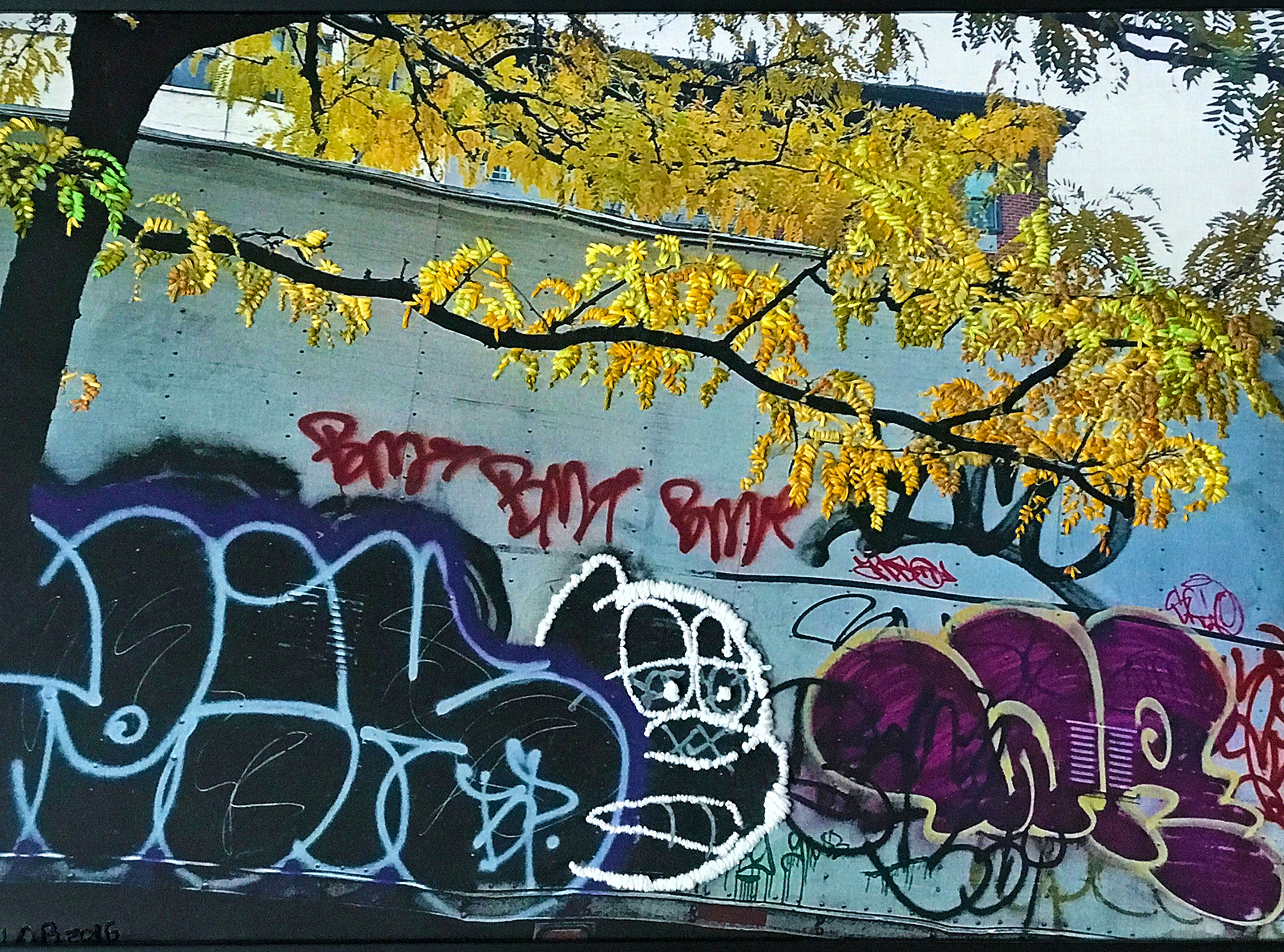 another face in the crowd (chelsea)