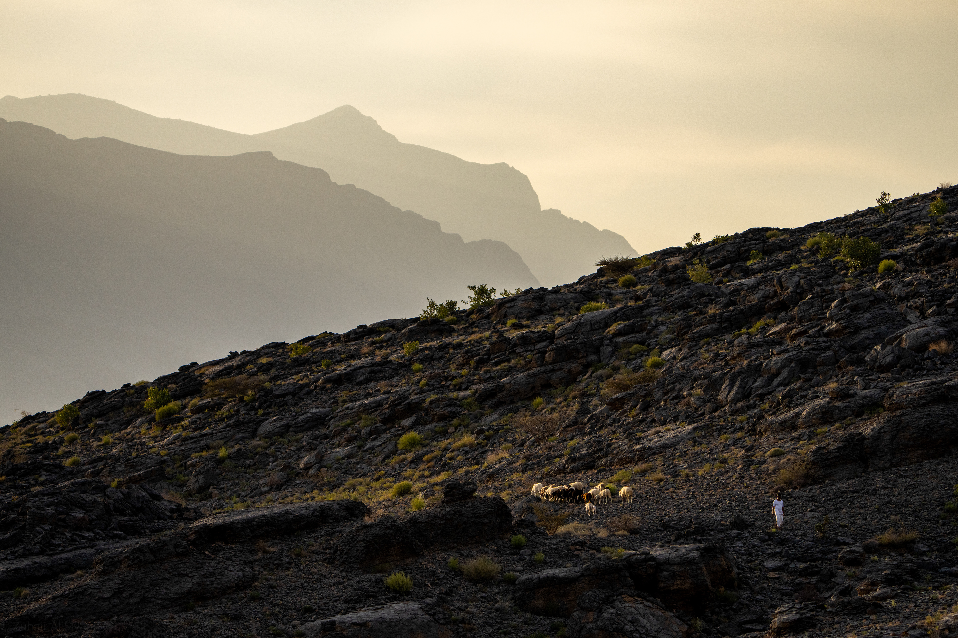 Al Hamra, Misfat Al Abrieen 