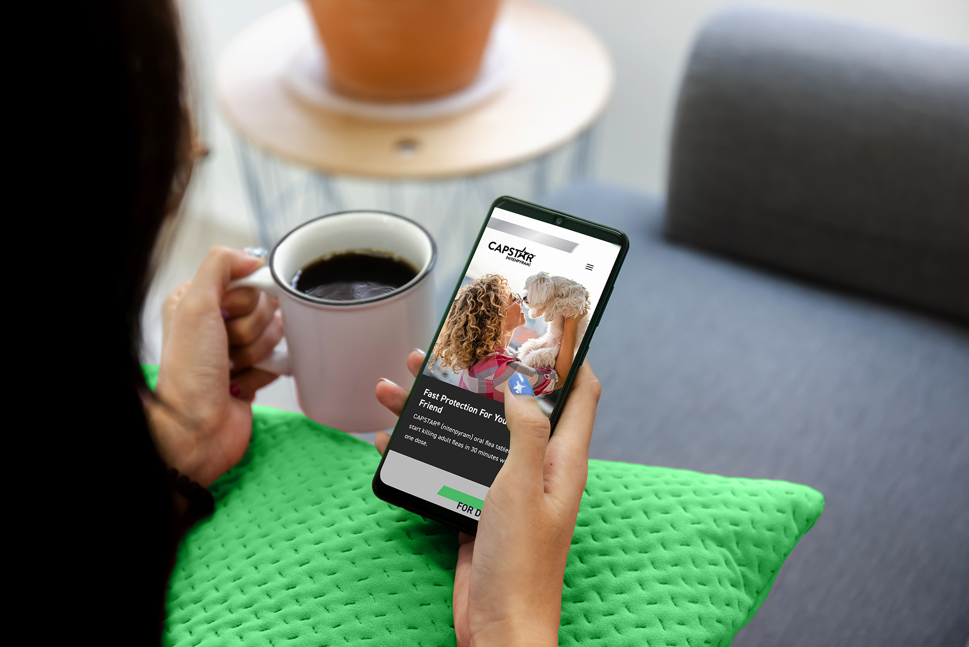 Payback Penguin CAPSTAR / NEXTSTAR UI/UX