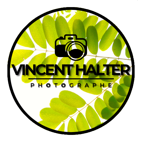 Vincent Halter - Photographe