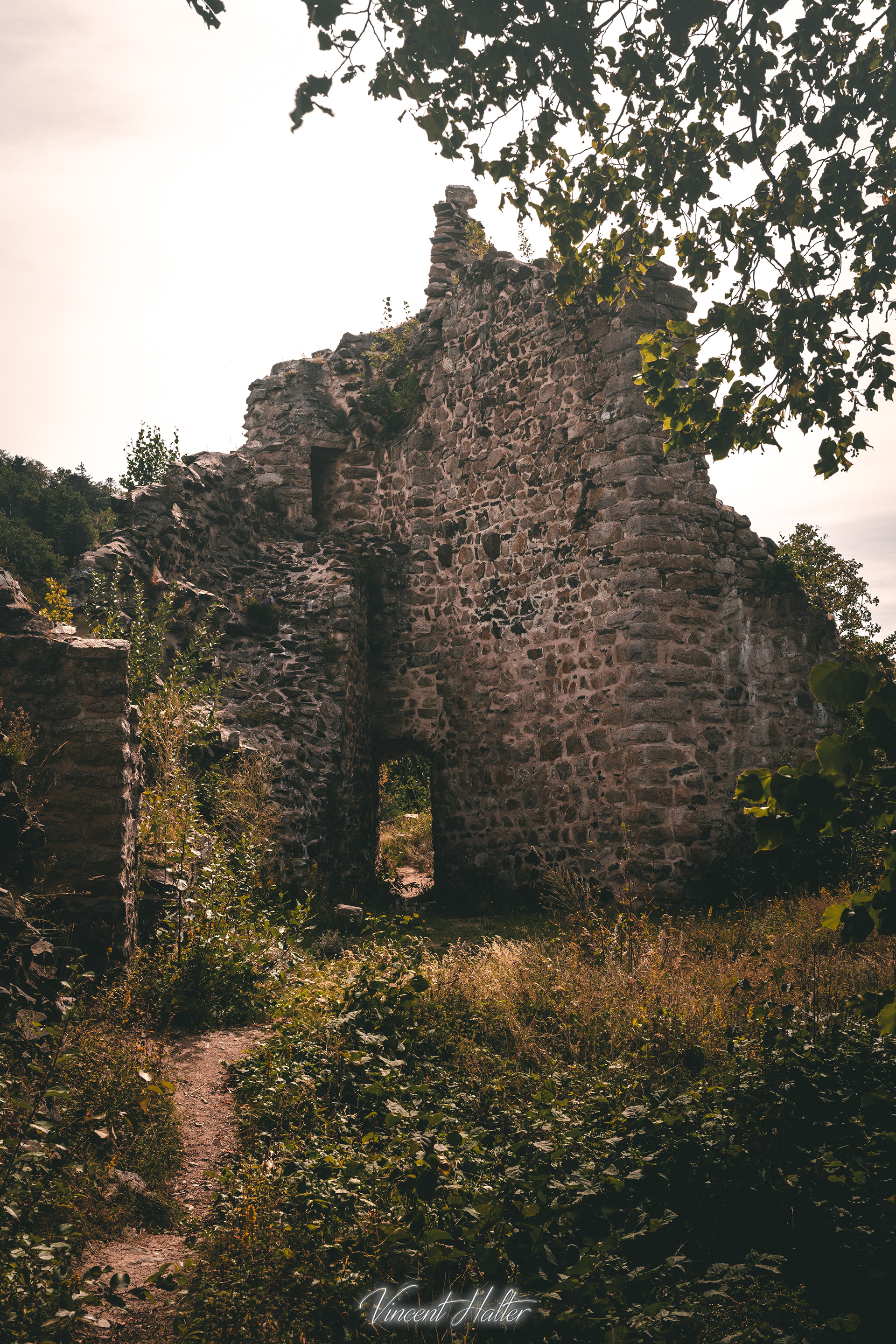 Ruines du château