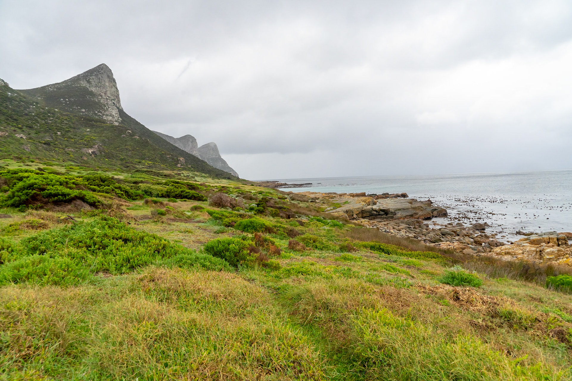 Fynbos coast
