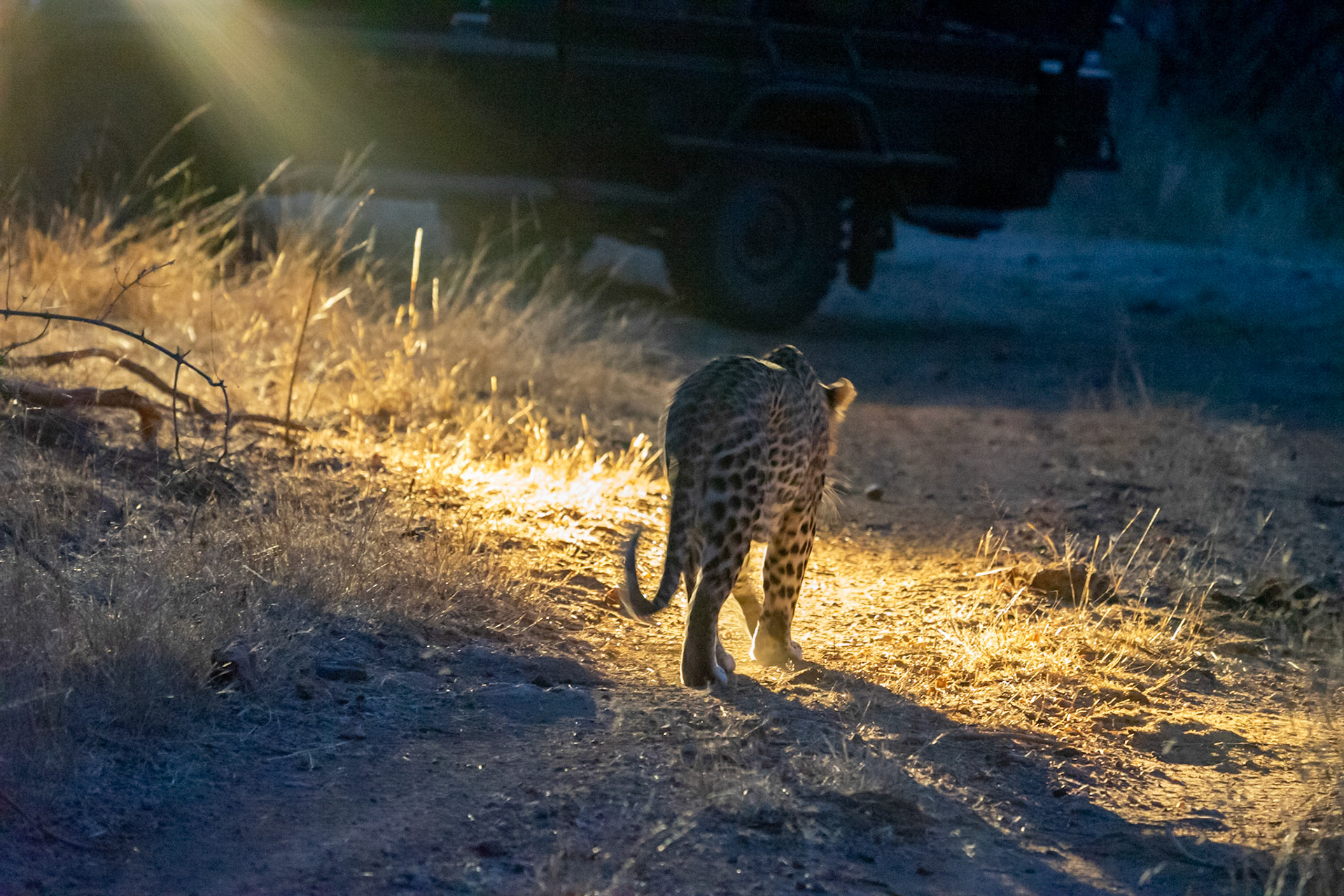 Not bothered by the light