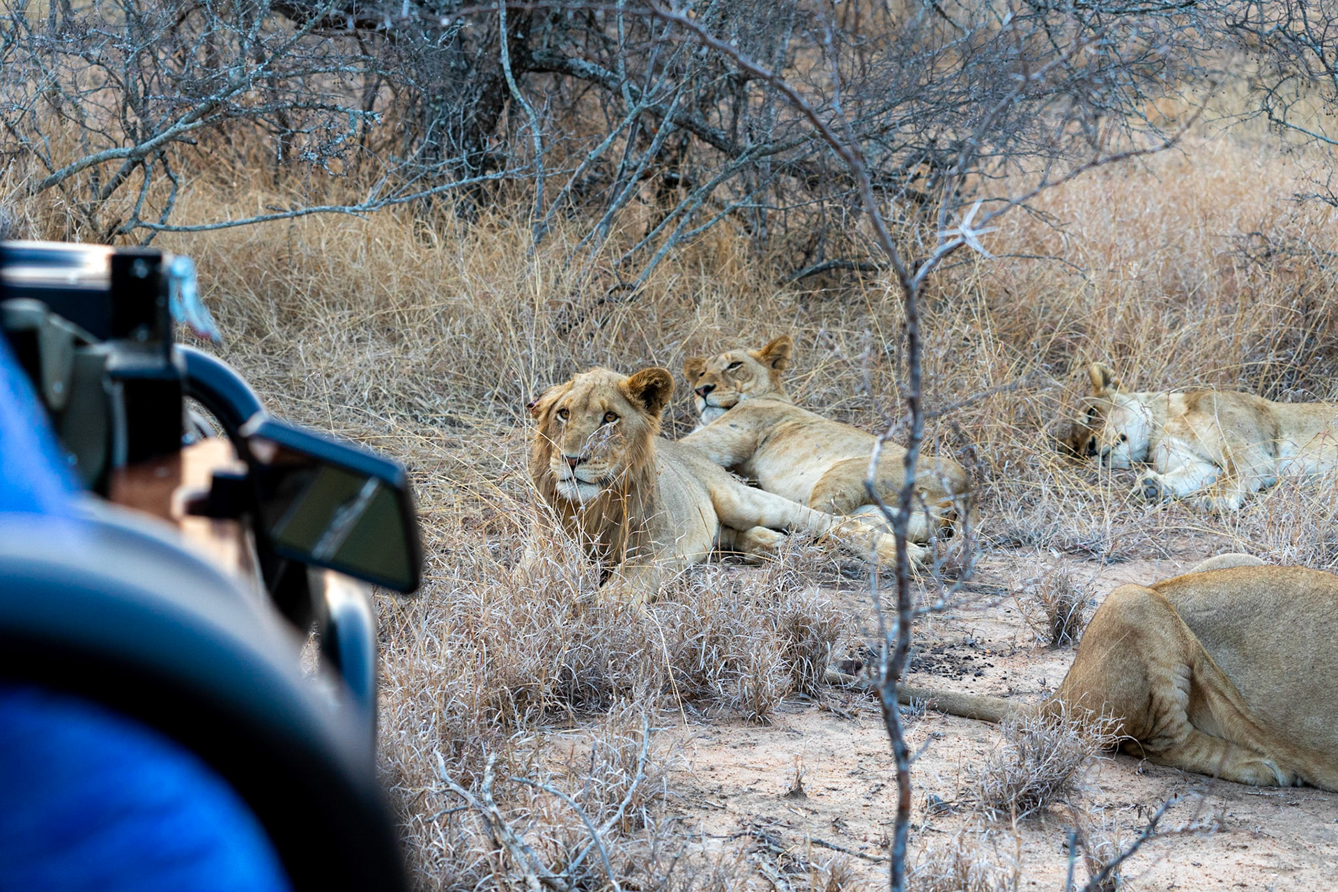 Glad they aren't hunting!