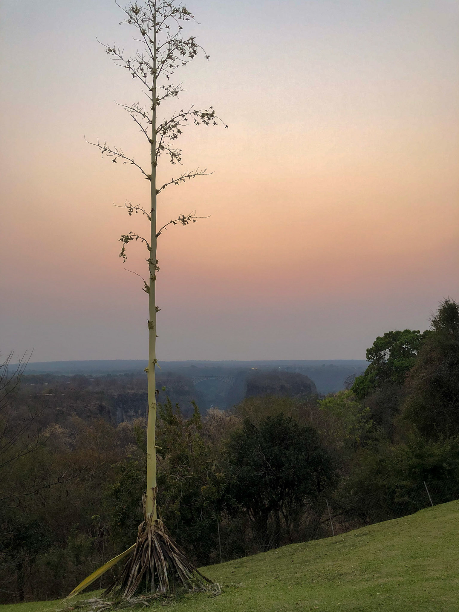 Early morning at V. F. Inn