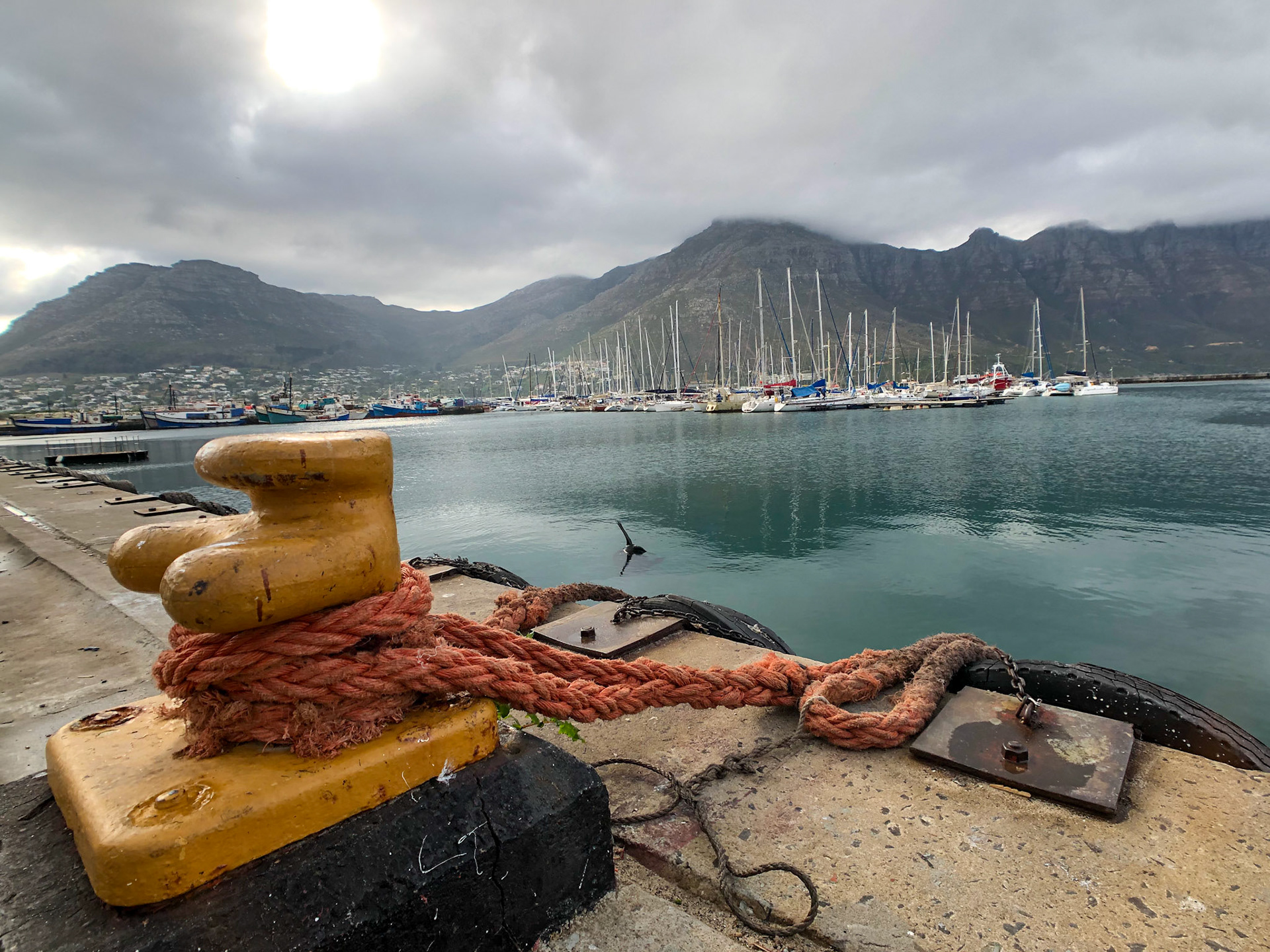 Stop between Cape Town and Cape of Good Hope