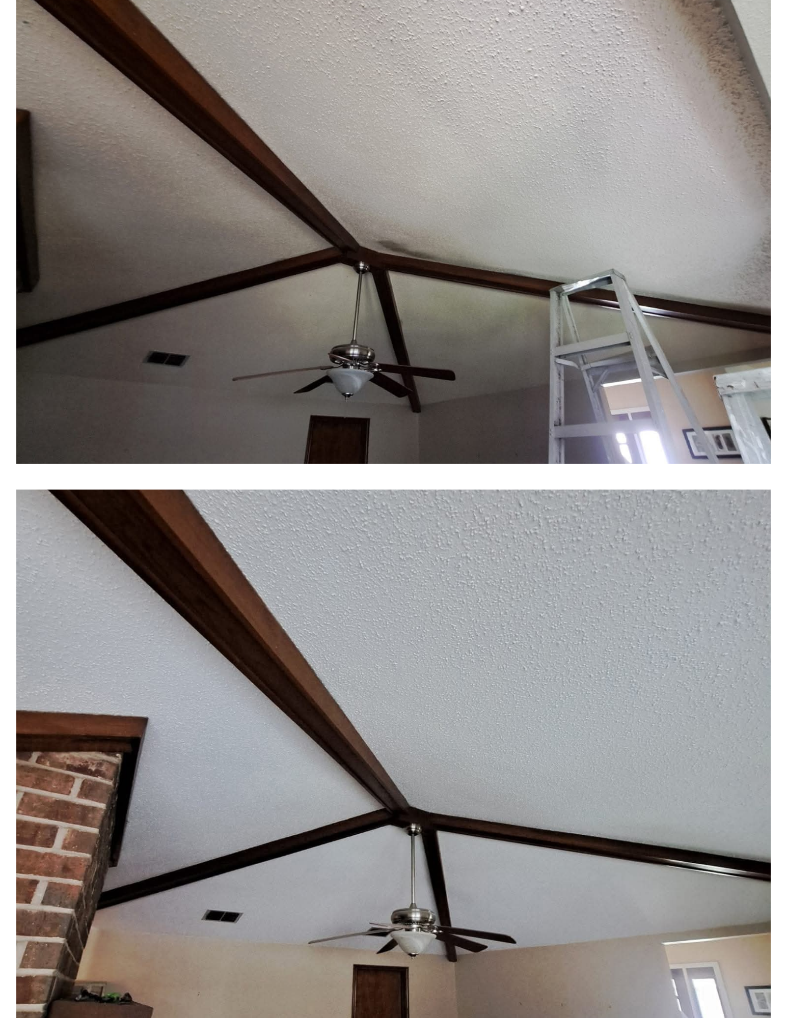 MOLD REMEDIATION