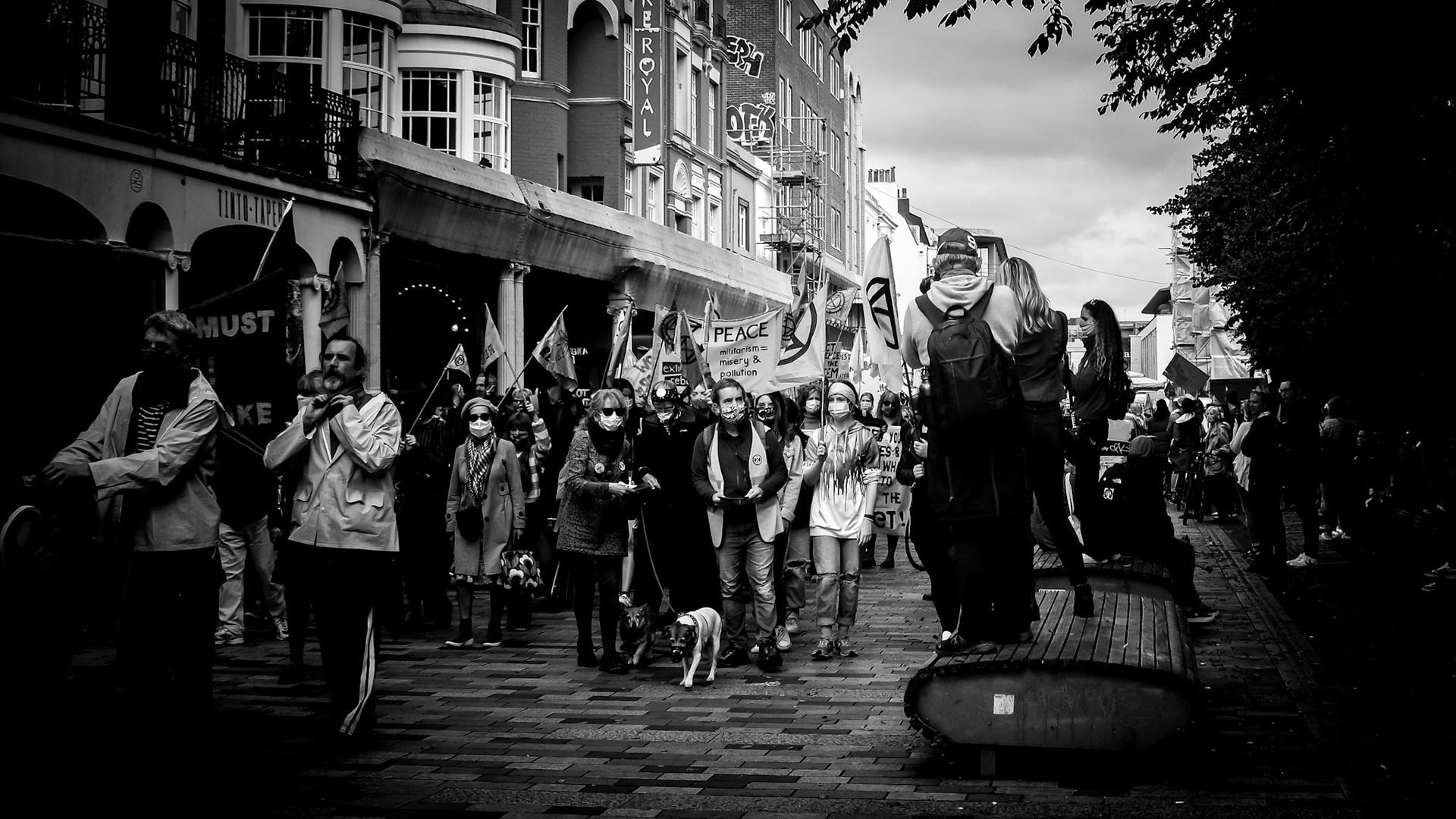 Three photographers are stood on a bench taking pictures of a group of protestors.