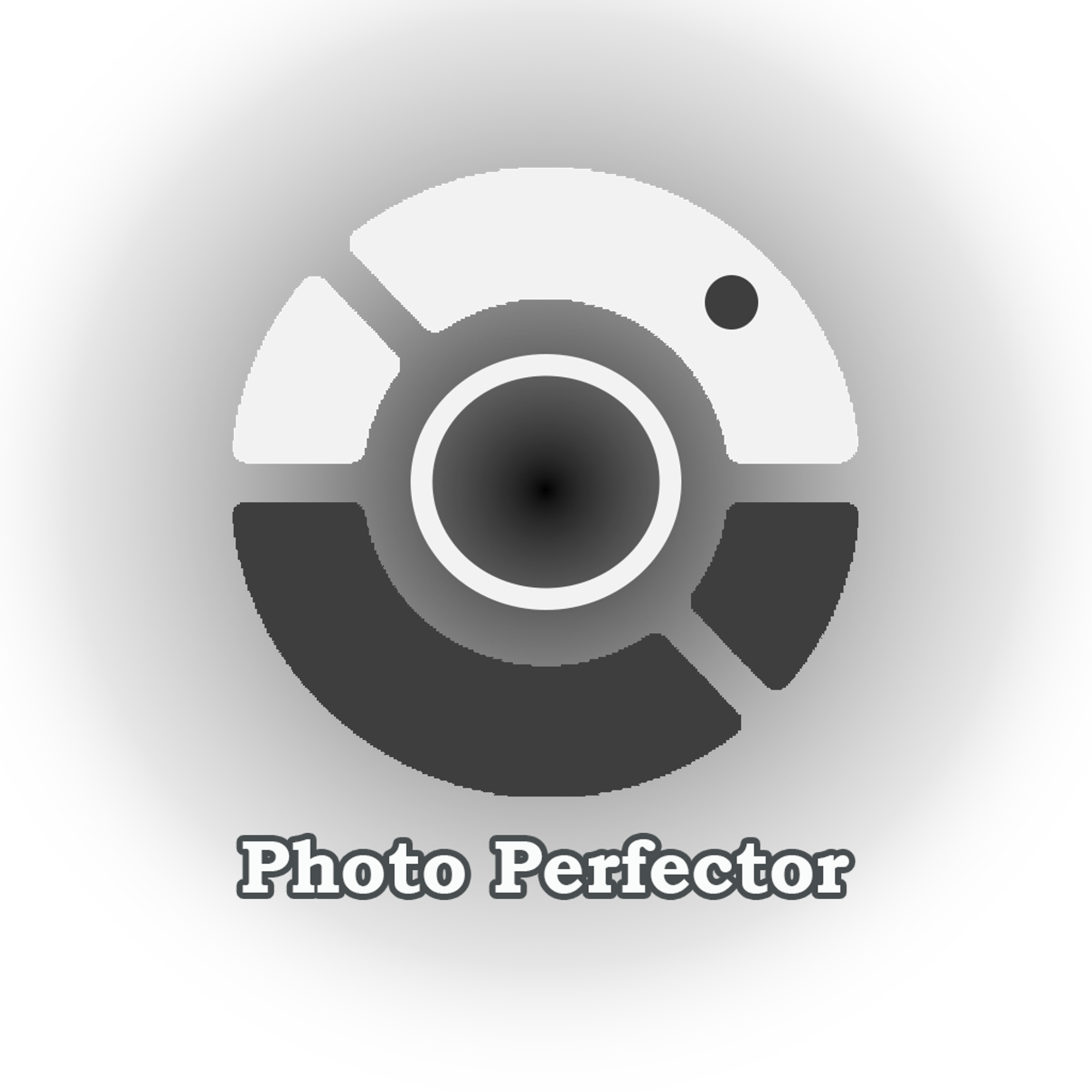 PhotoPerfector logo